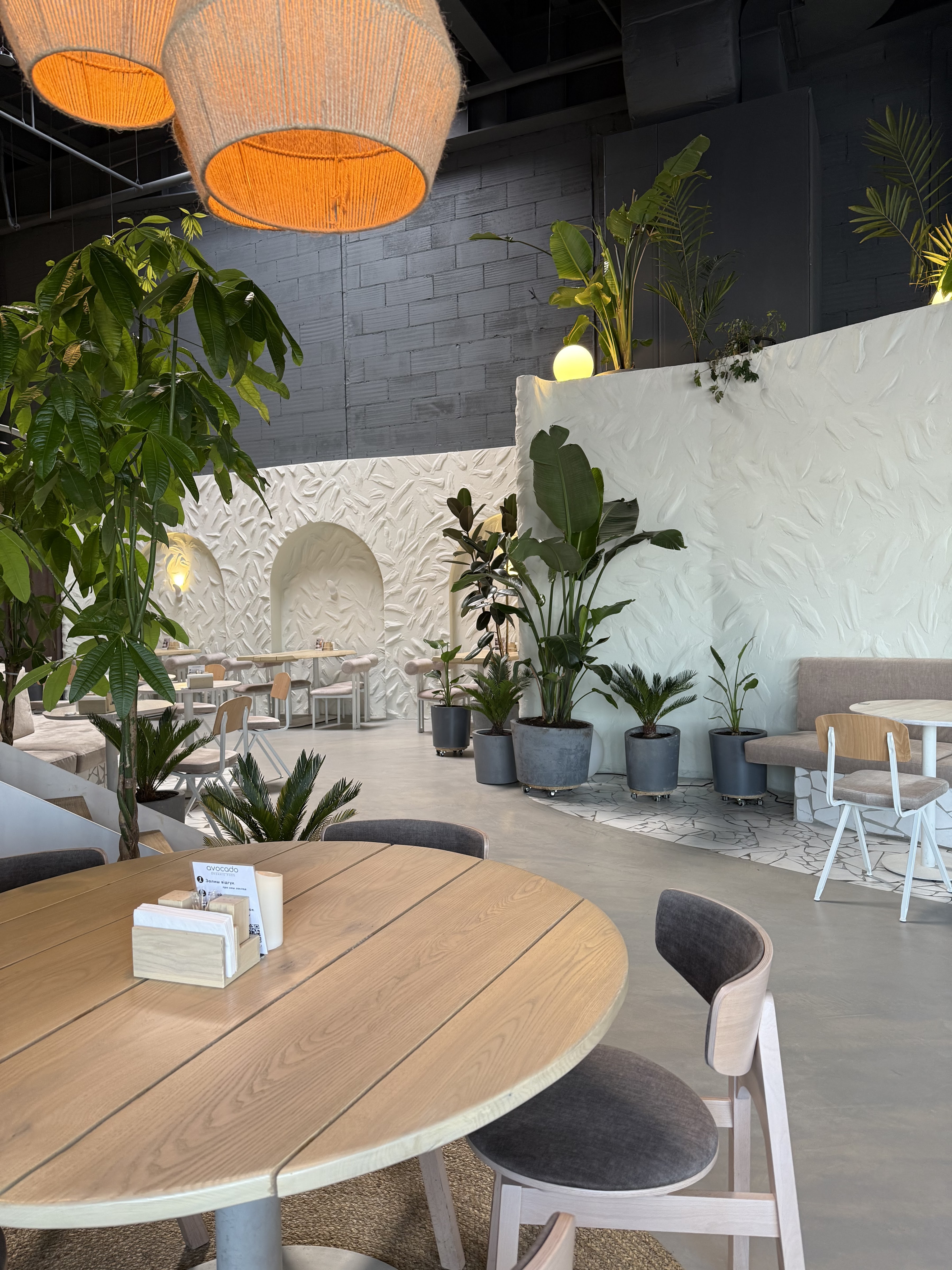 Avocado Organic Food image 14