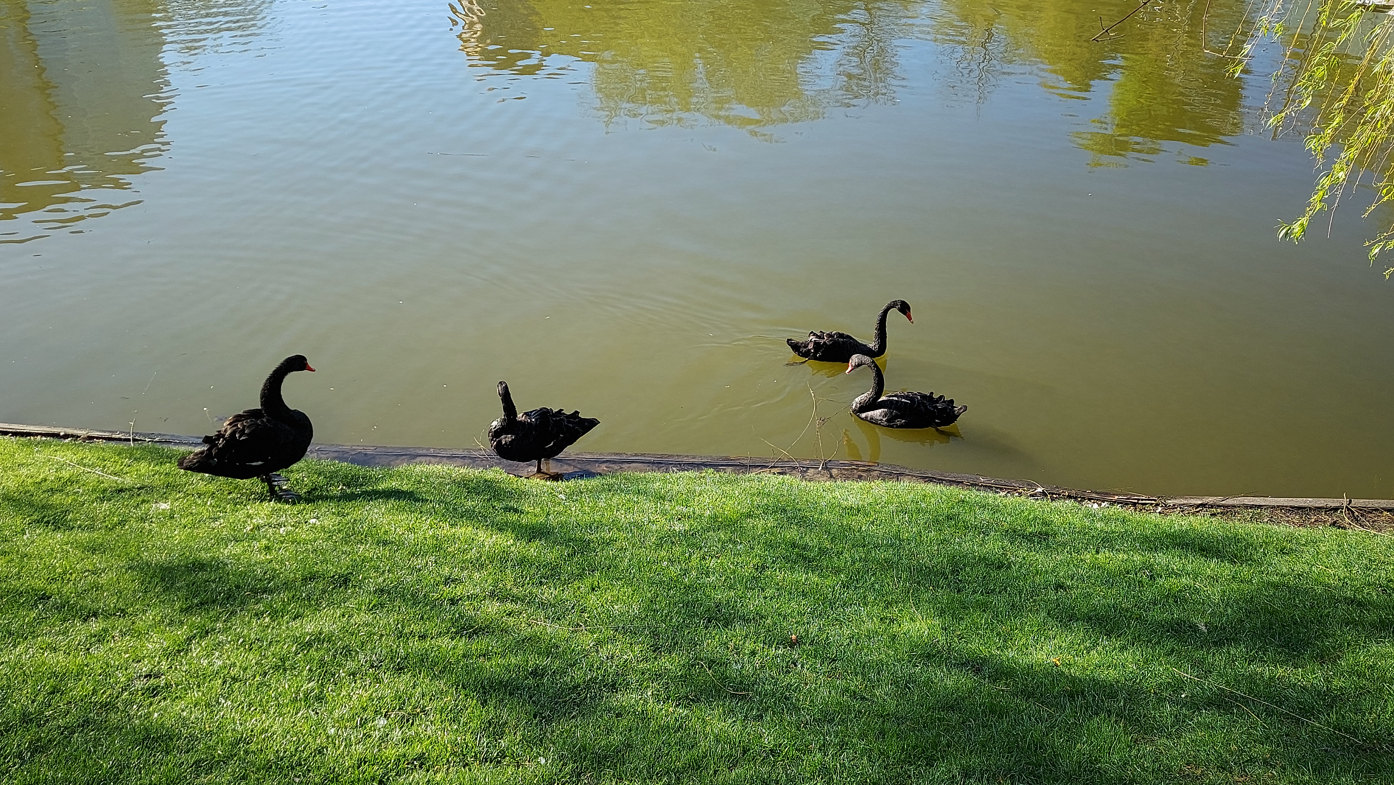 Restaurant Prague image 20
