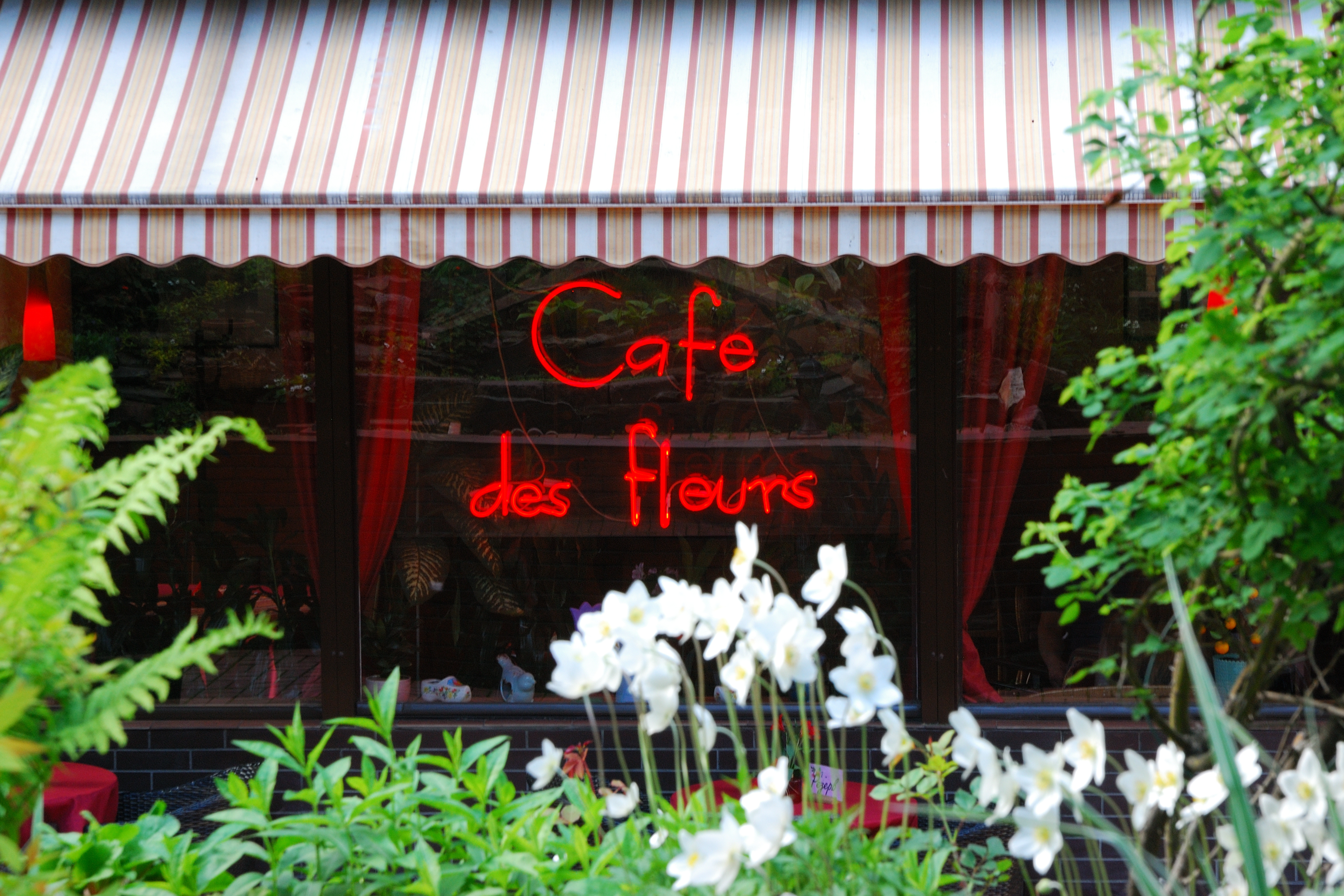 Cafe des fleurs image 11