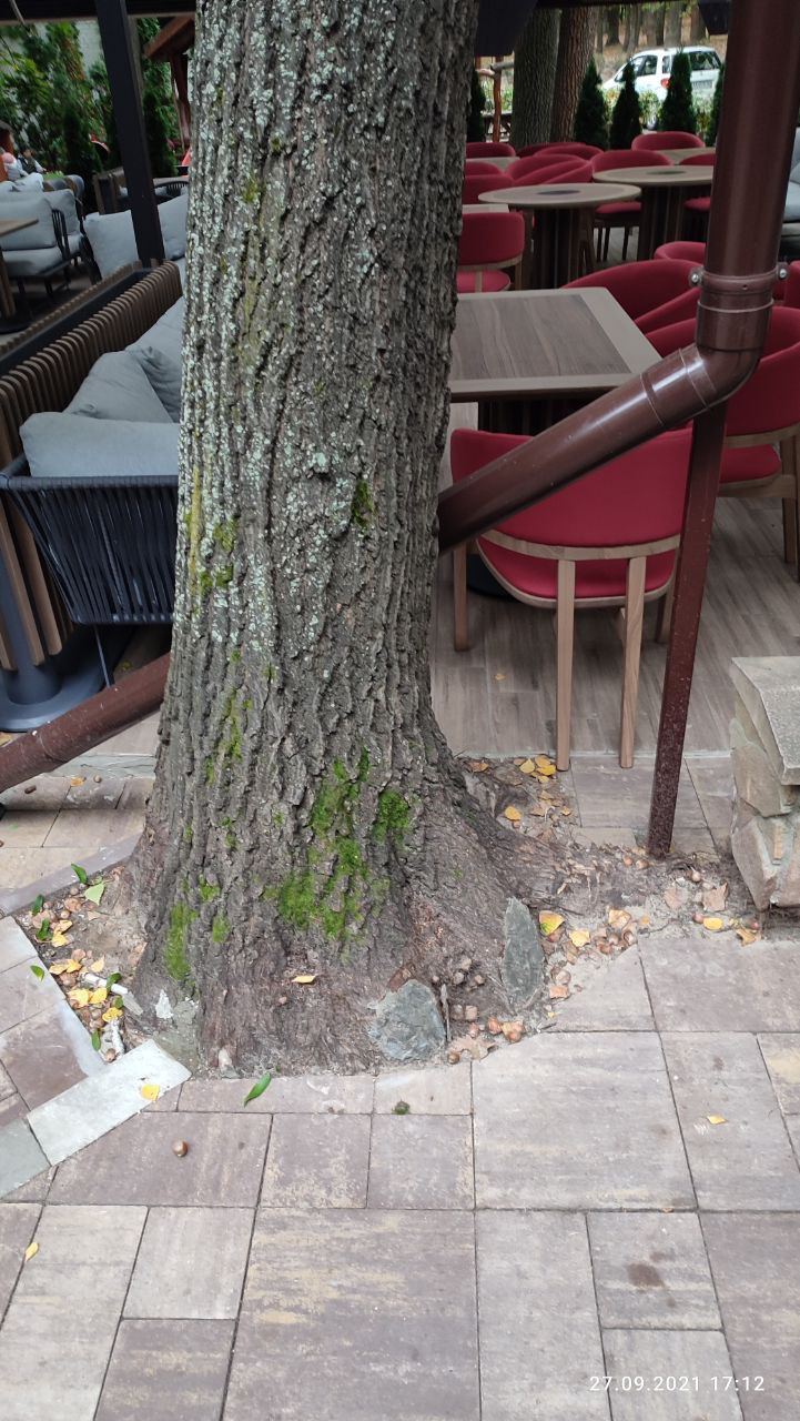 Goloseevsky yard image 15