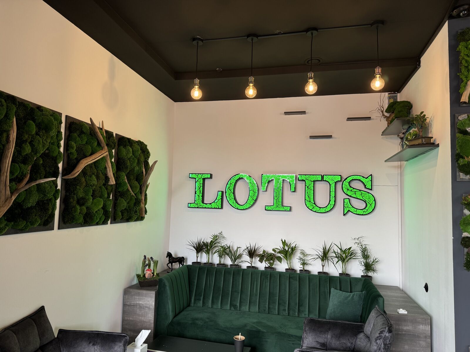 Lotus ресторан image 19