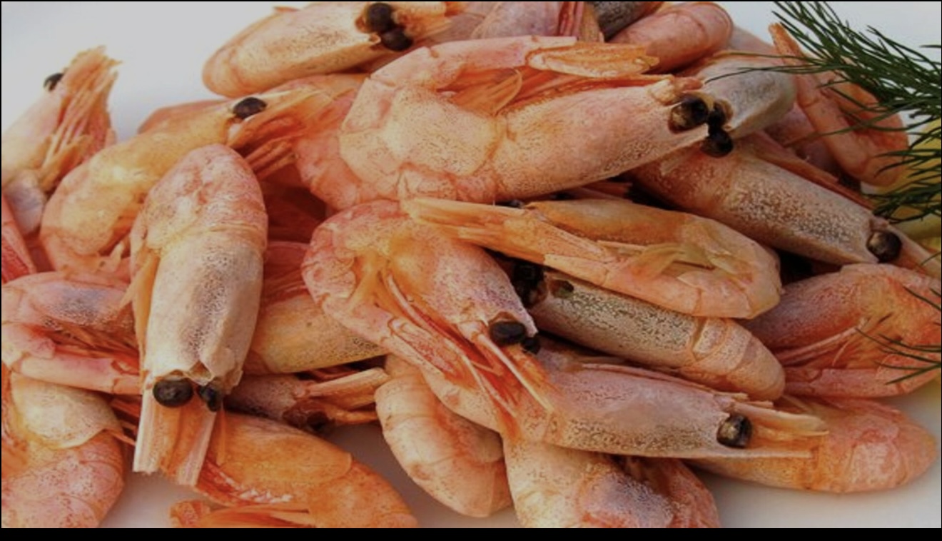 BURGER City image 16