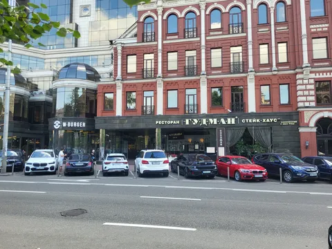 Goodman image 14