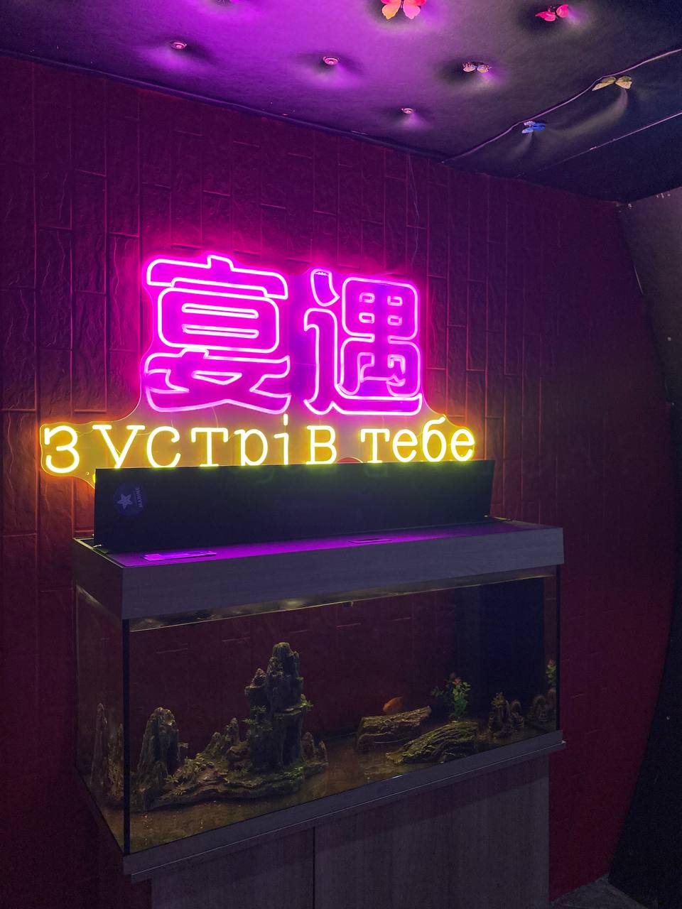 Zustriv Tebe image 3