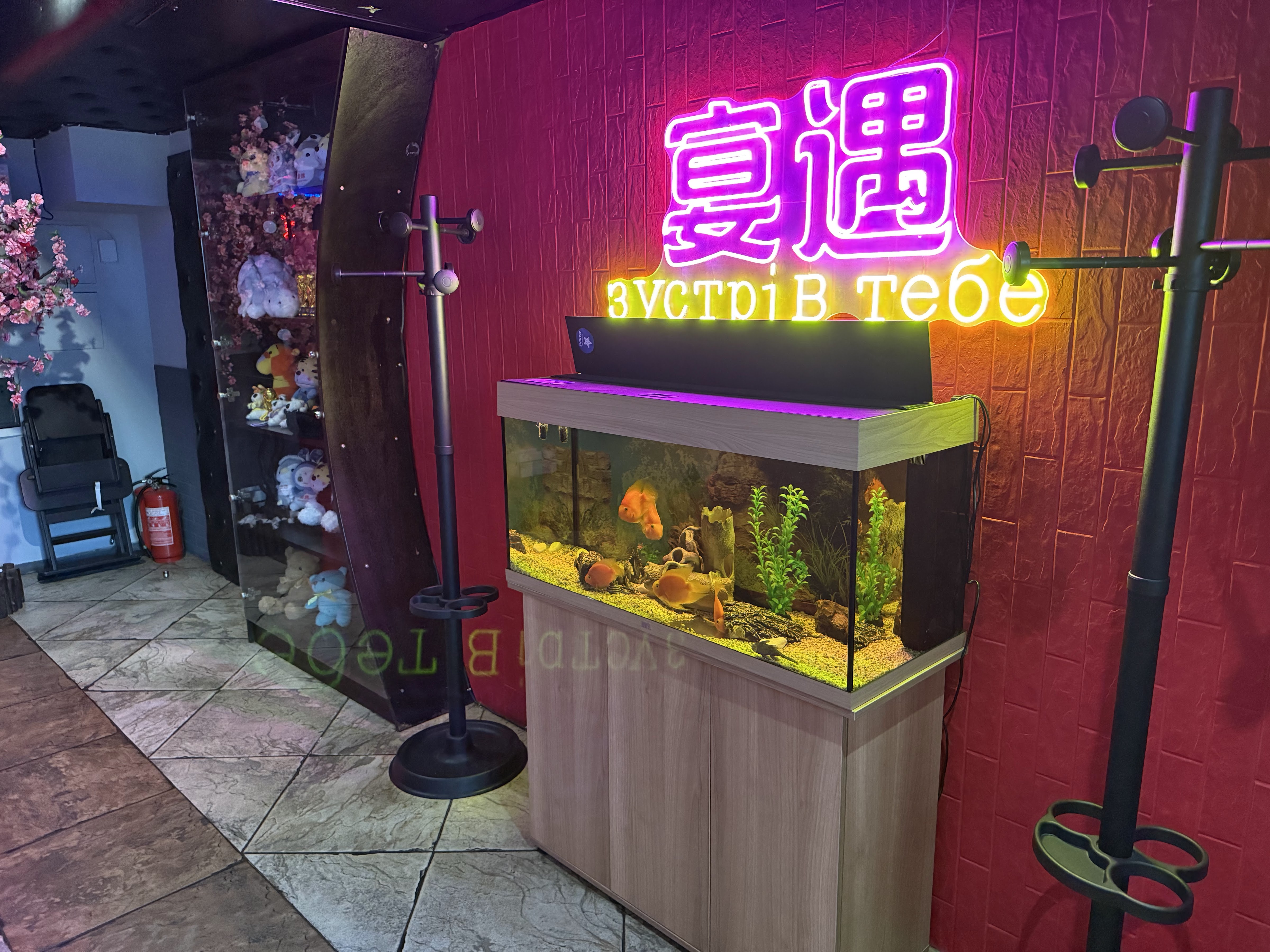 Zustriv Tebe image 4