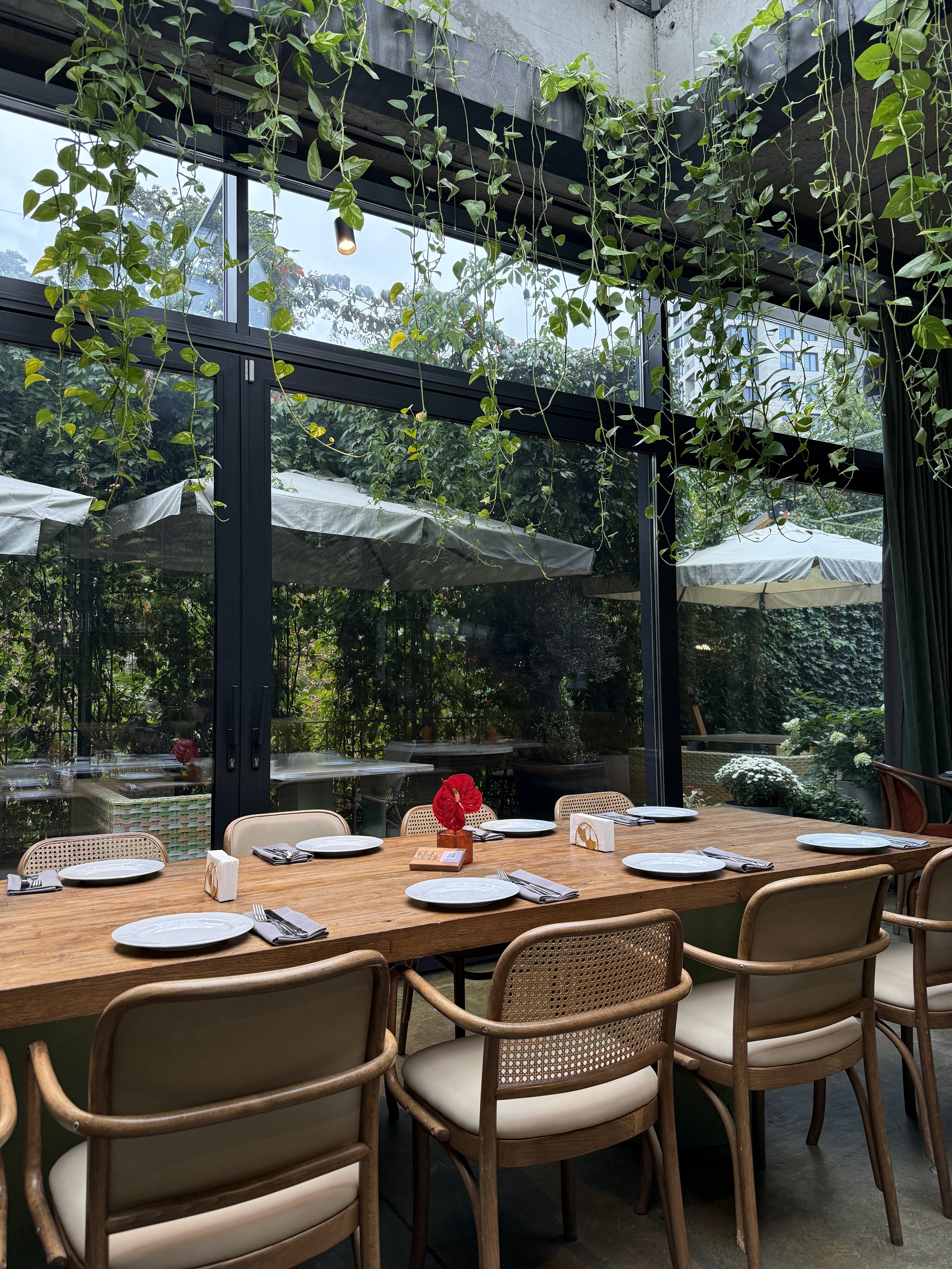 Belkin image 13
