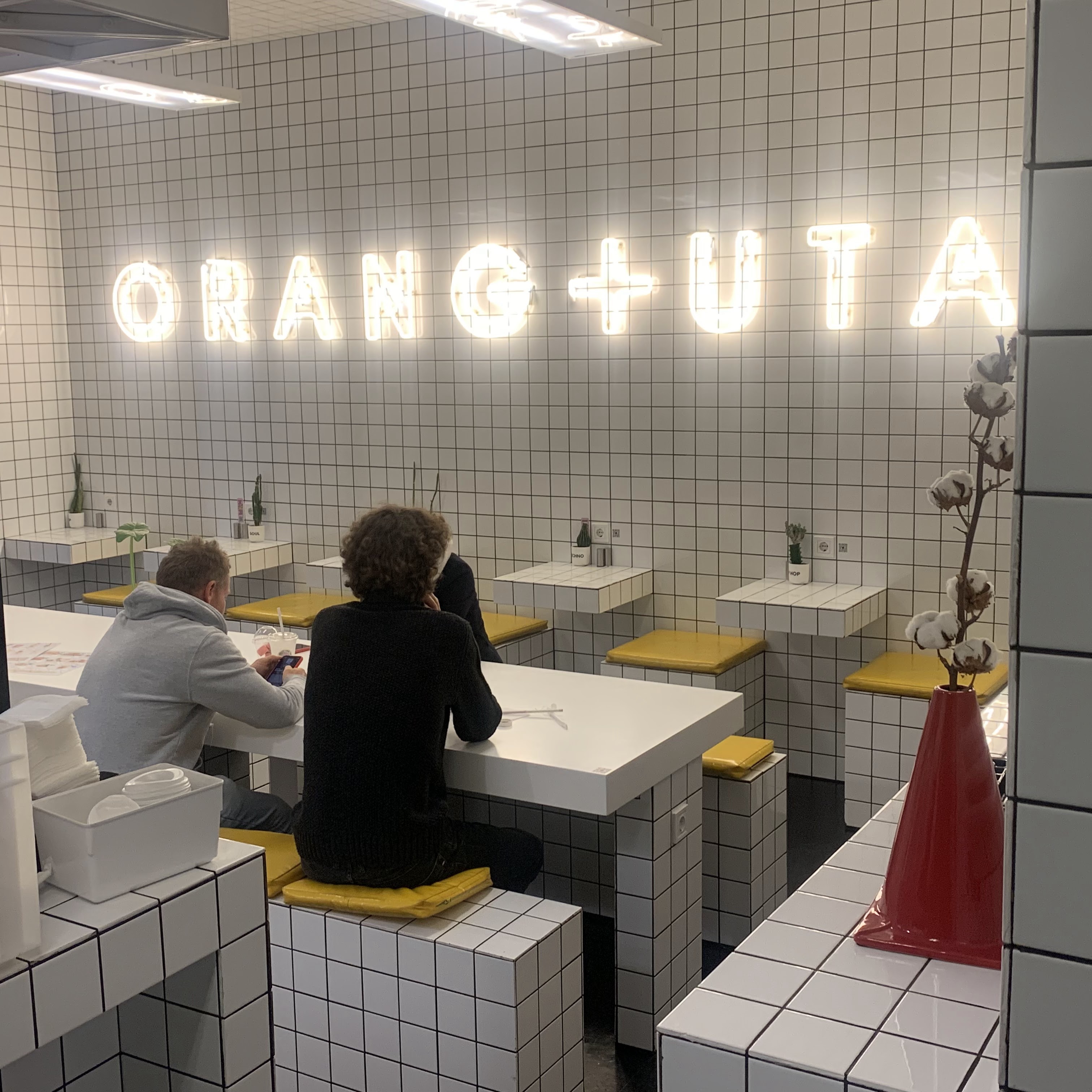 FRUIT+VEG ex (ORANG+UTAN) image 13