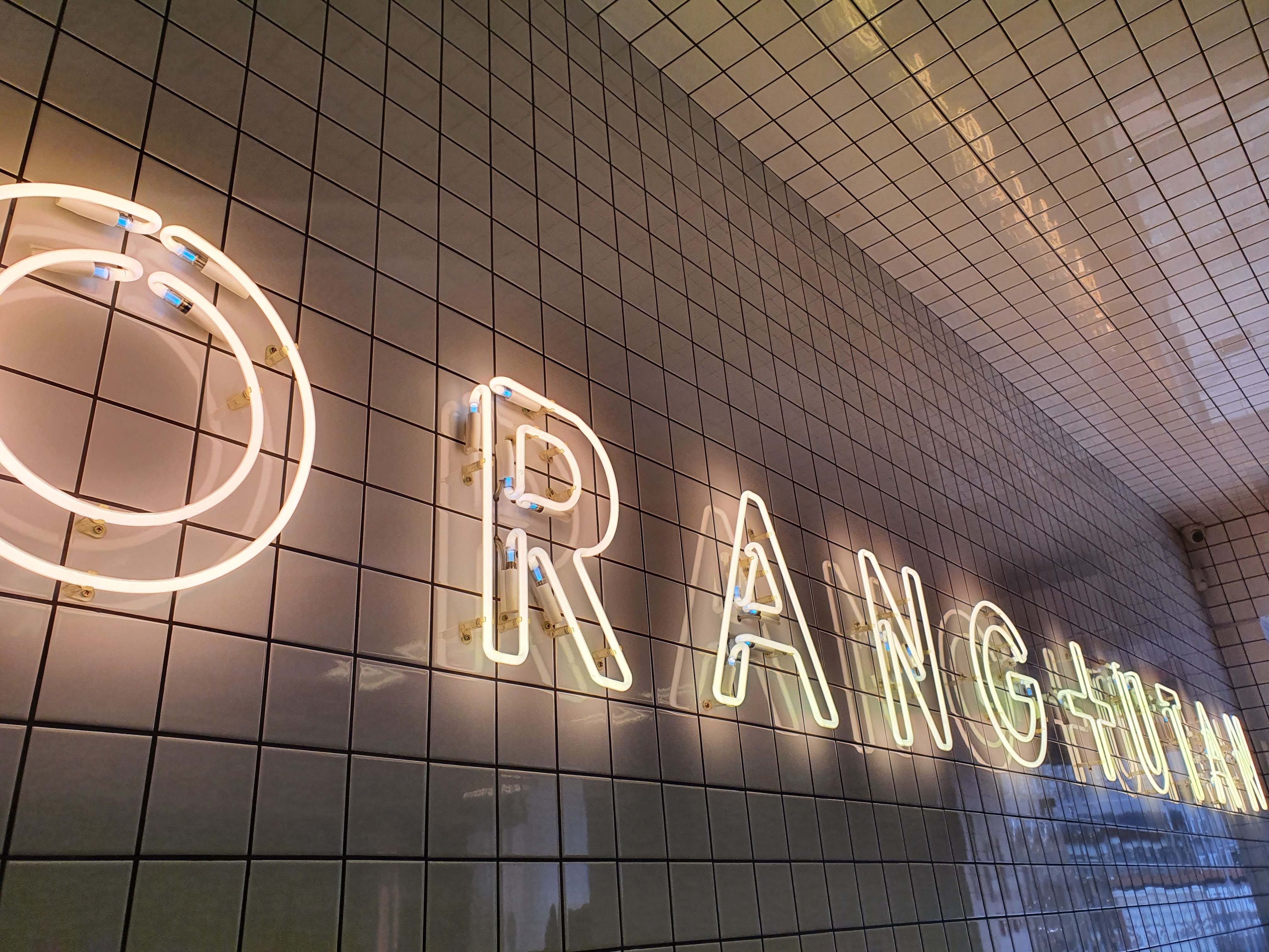 FRUIT+VEG ex (ORANG+UTAN) image 20