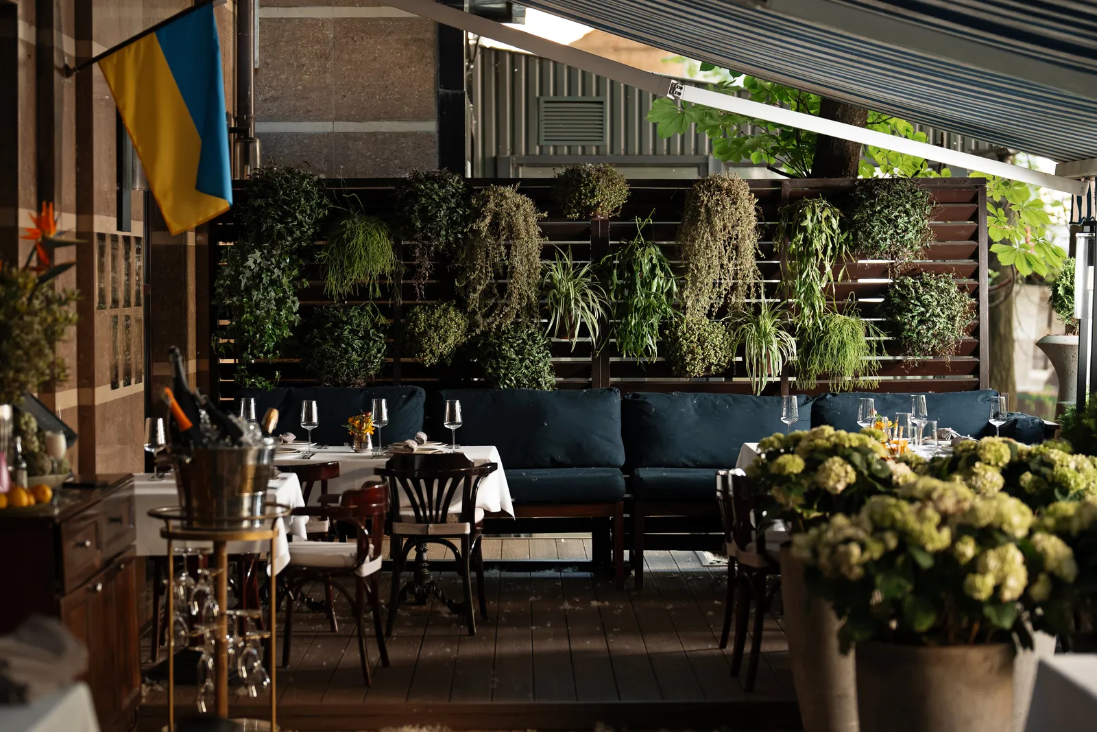 Piccolino image 11