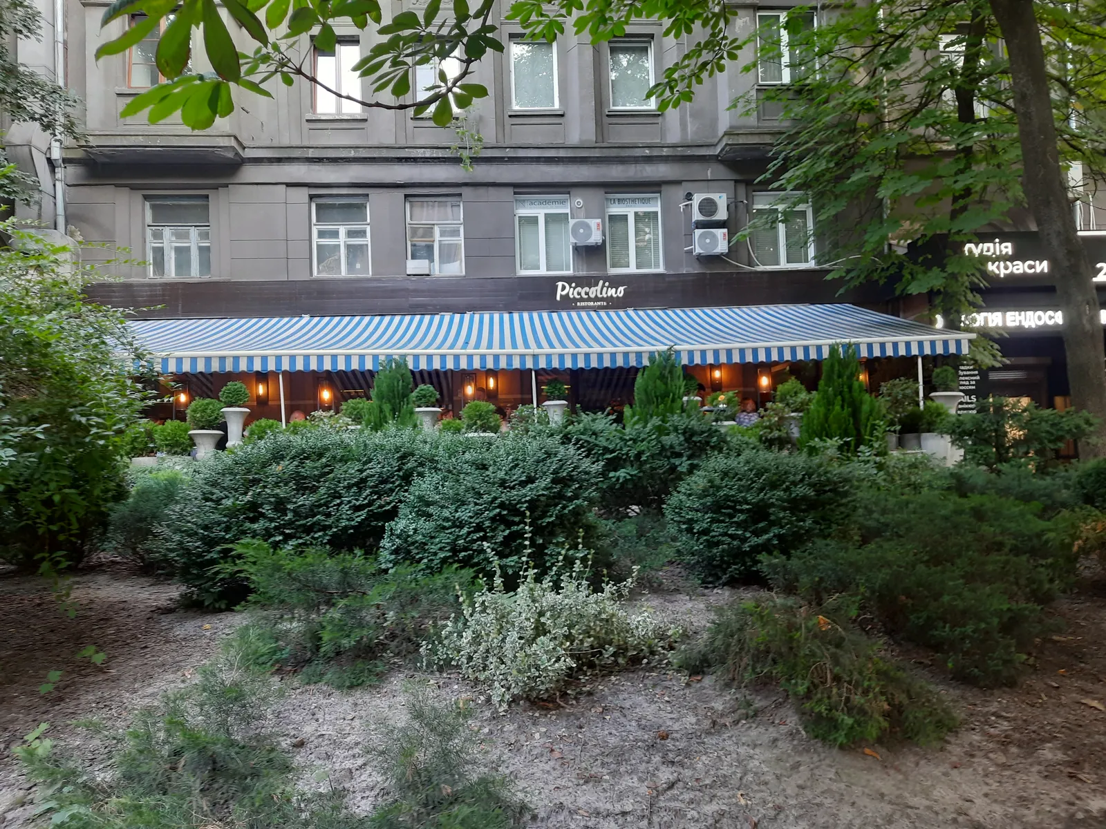 Piccolino image 15