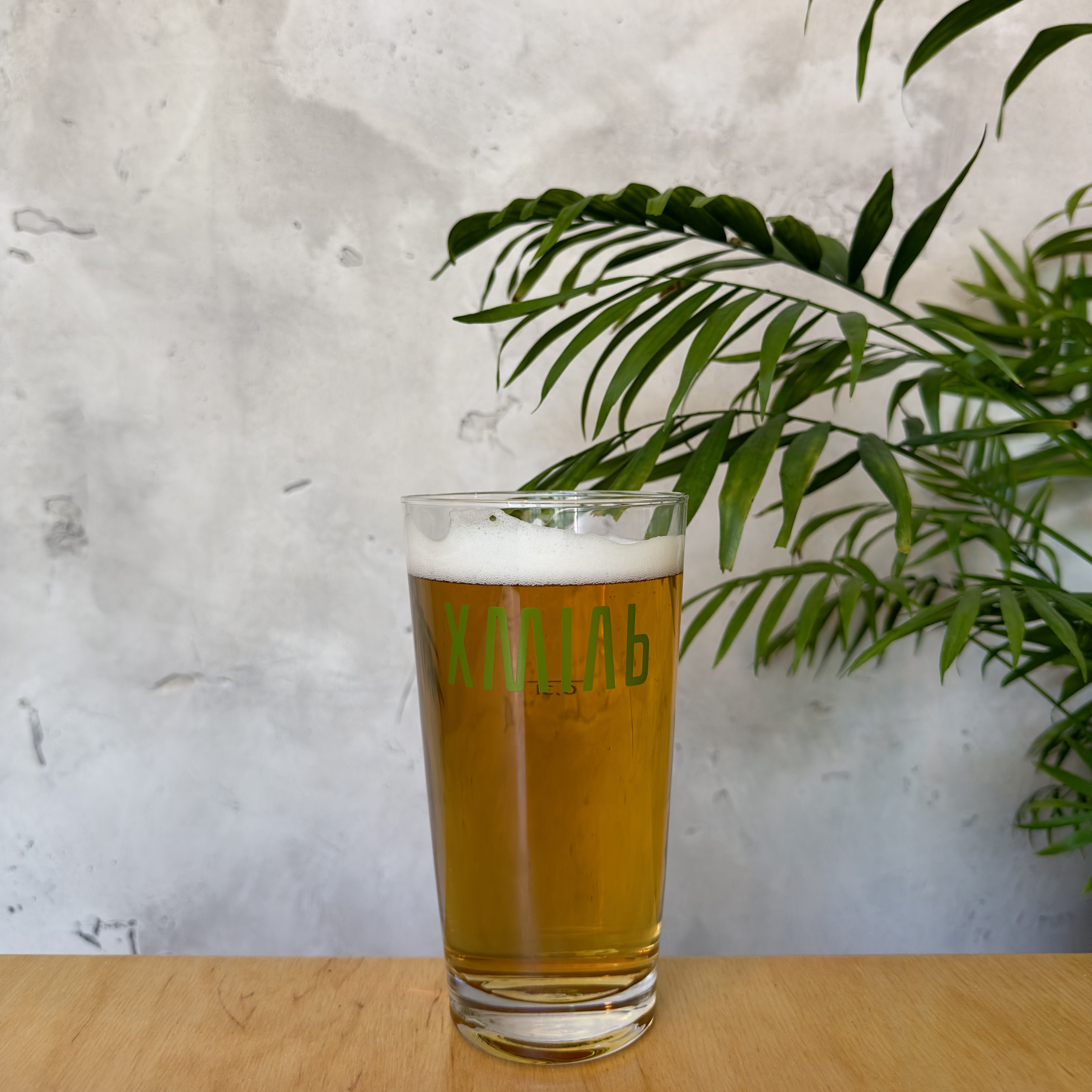 ХМІЛЬ BAR image 2