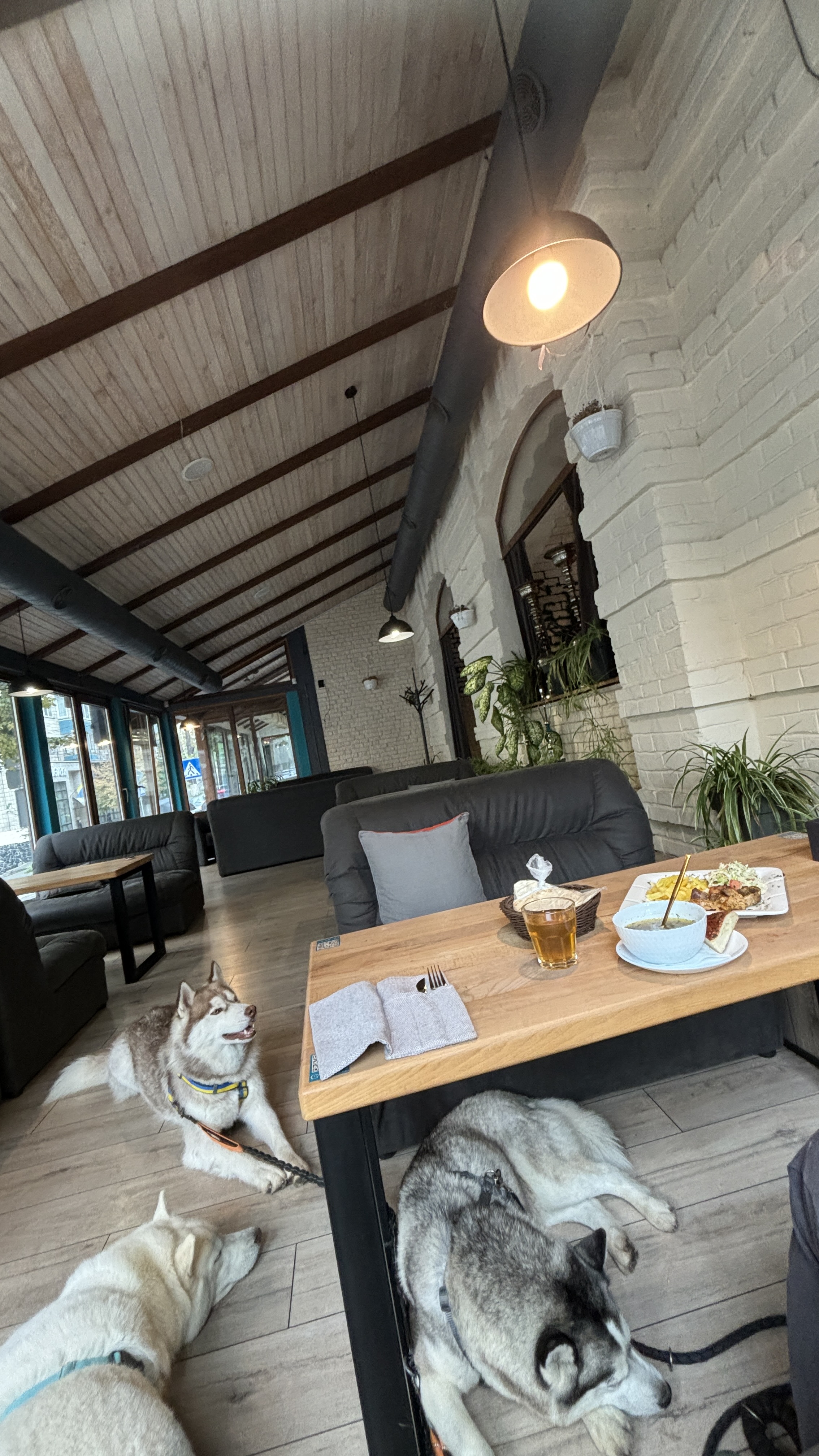 Ghost Garden image 10