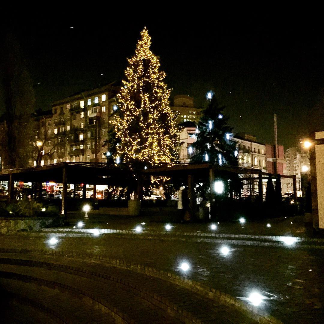 VINO e CUCINA image 18