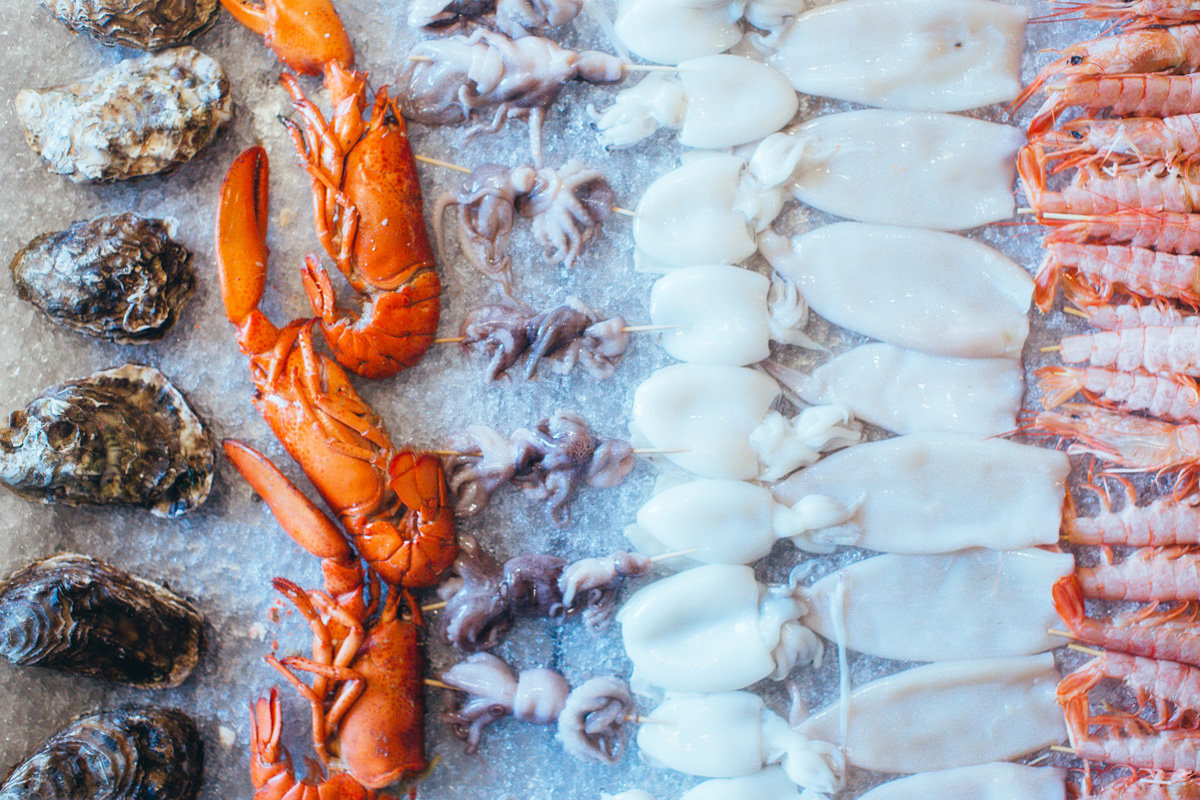 Mushlya / Мушля image 12