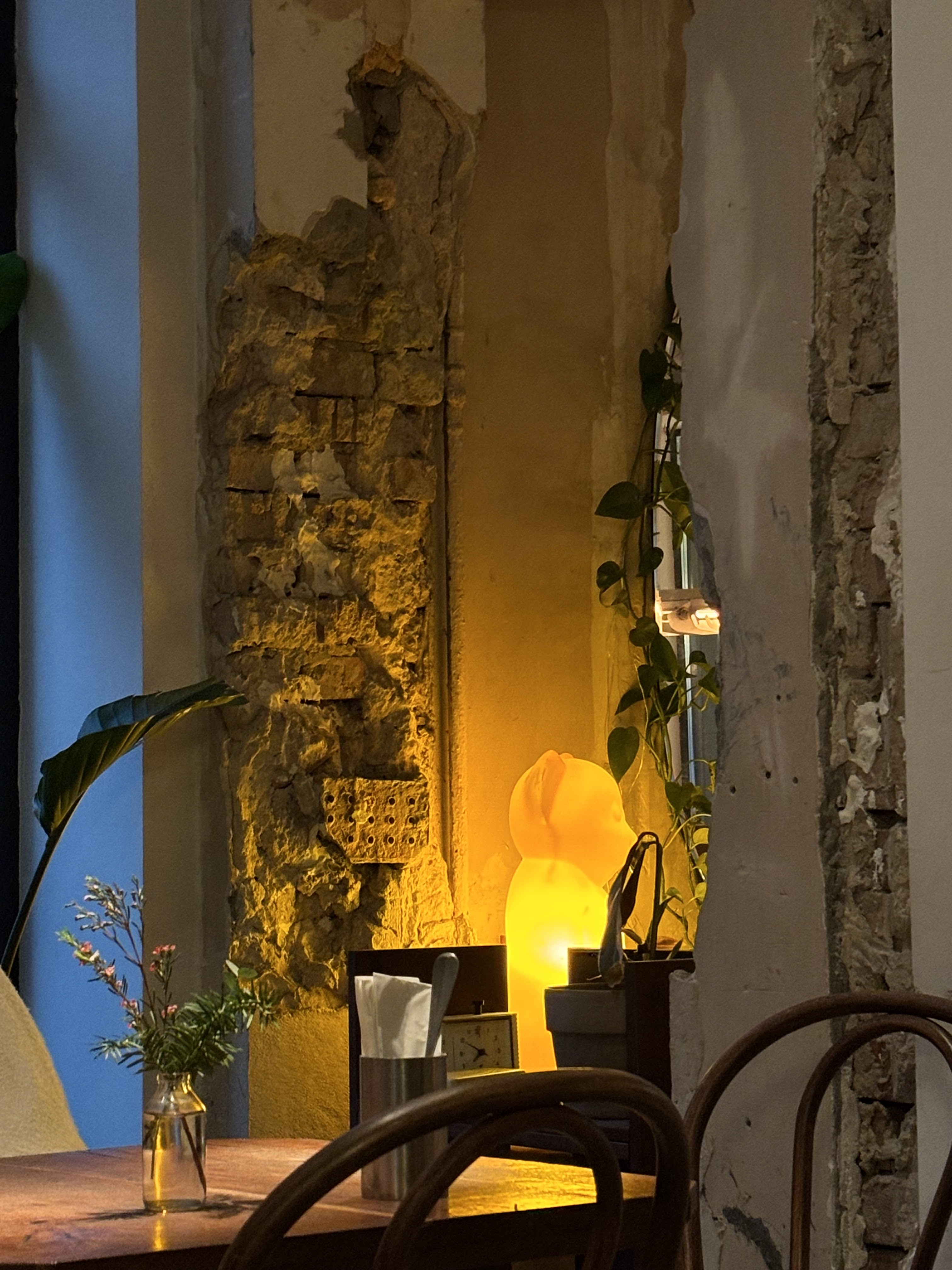 дублер image 18