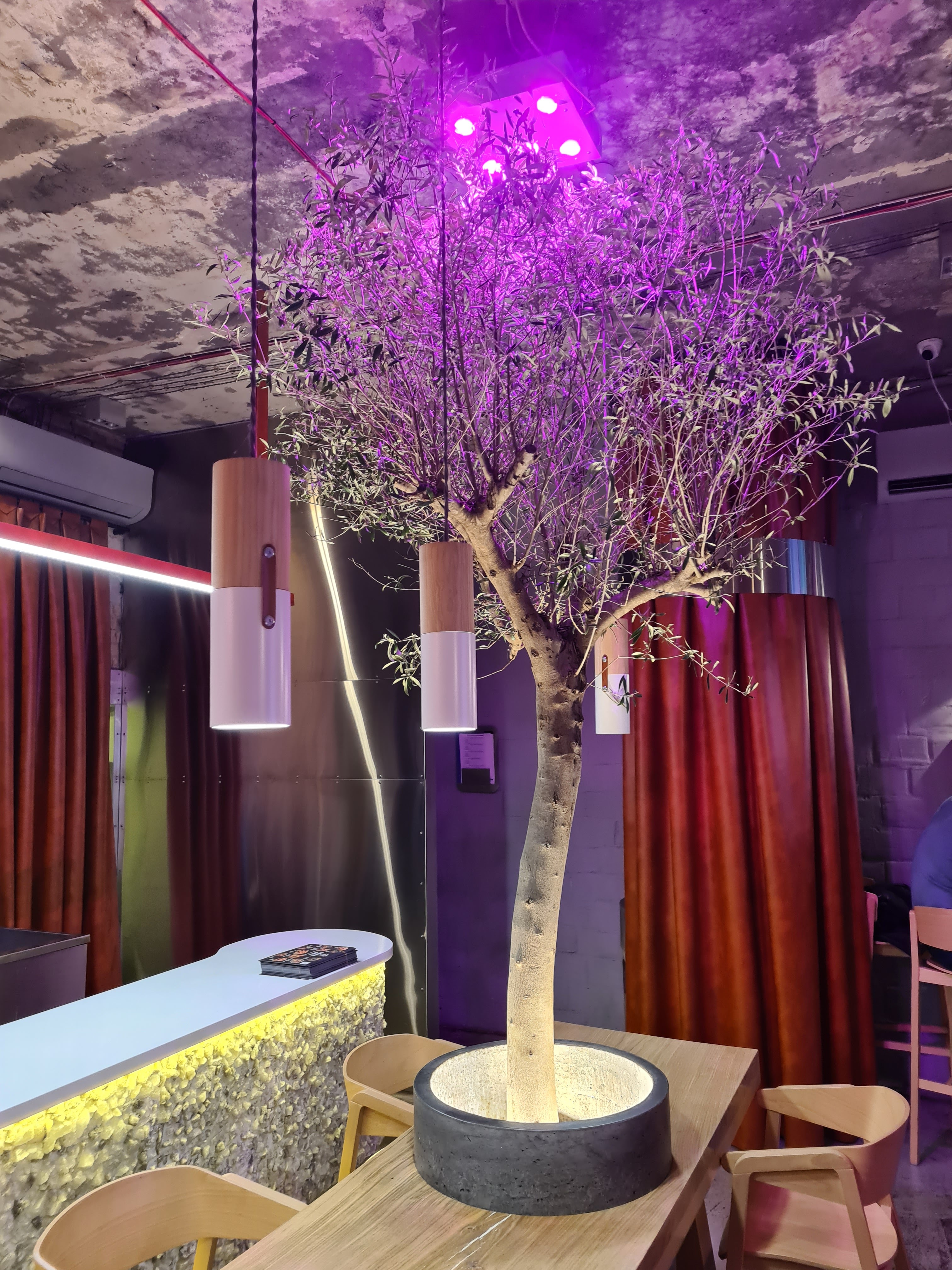 Gremio Grill image 9