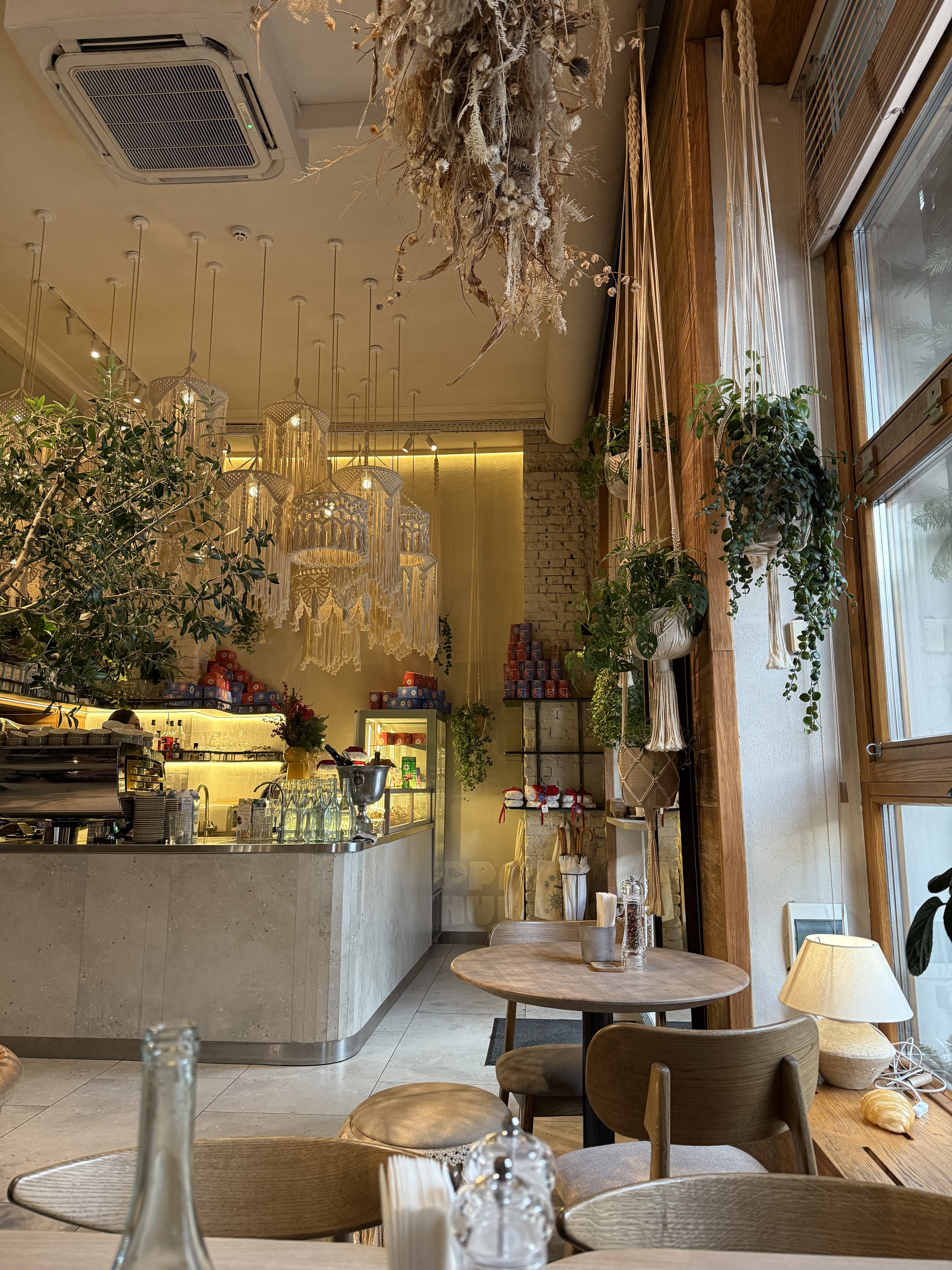 Franyk Kyiv image 15