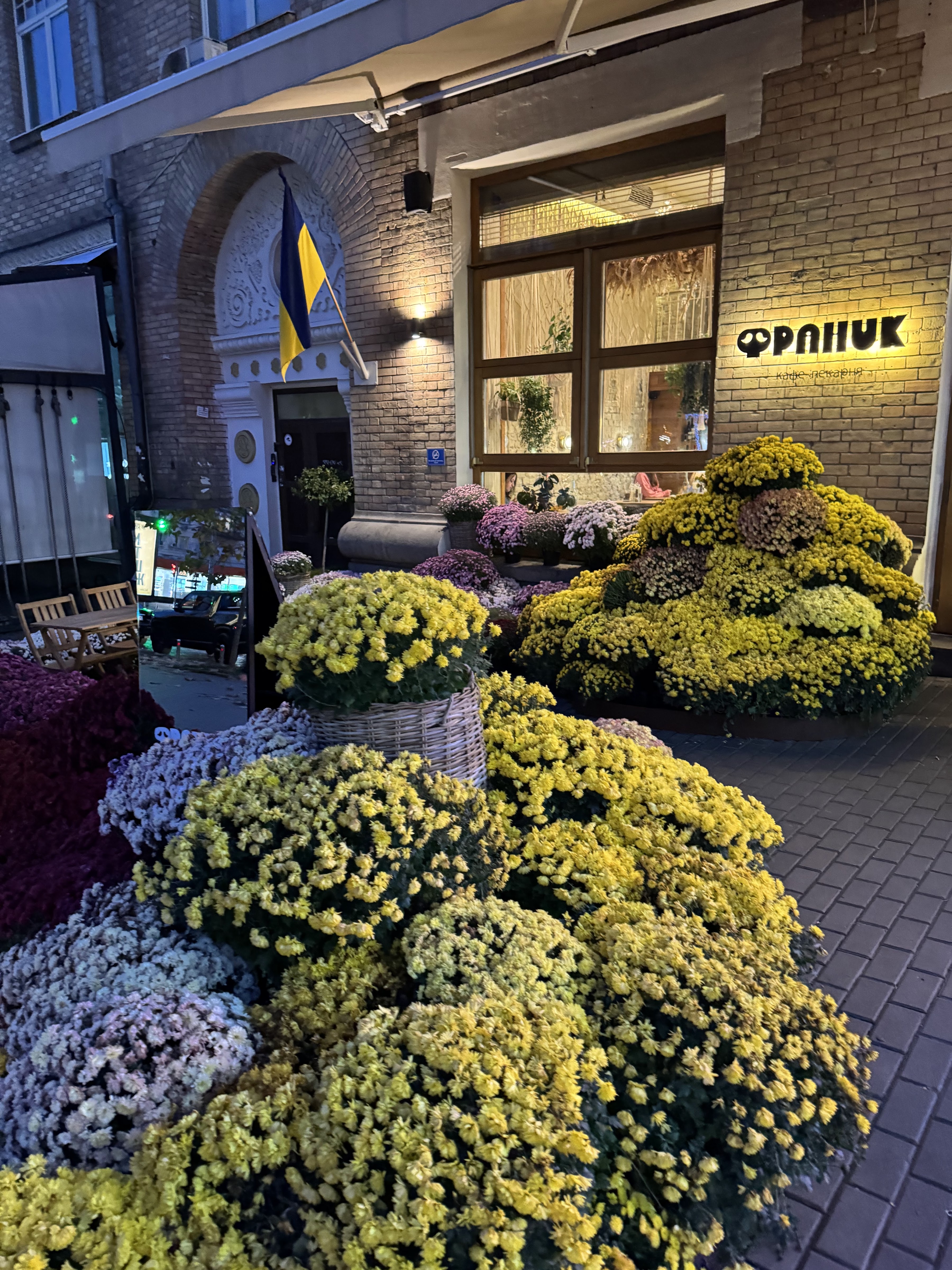 Franyk Kyiv image 17