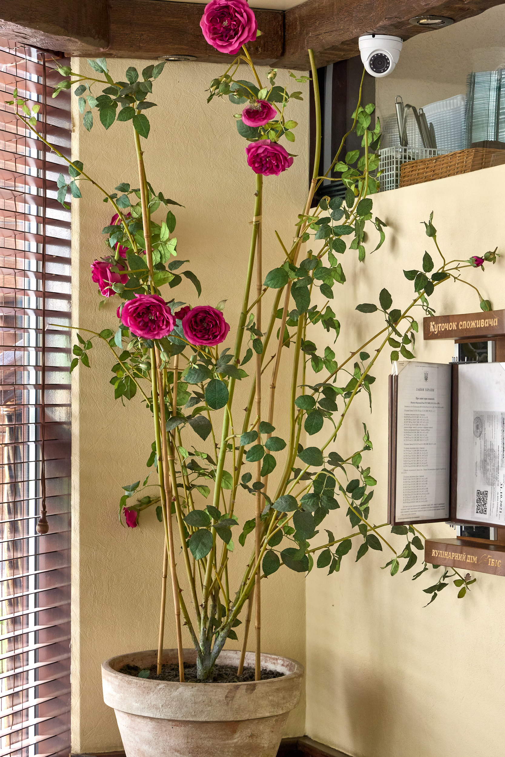 Myslyvski Kovbasky image 9