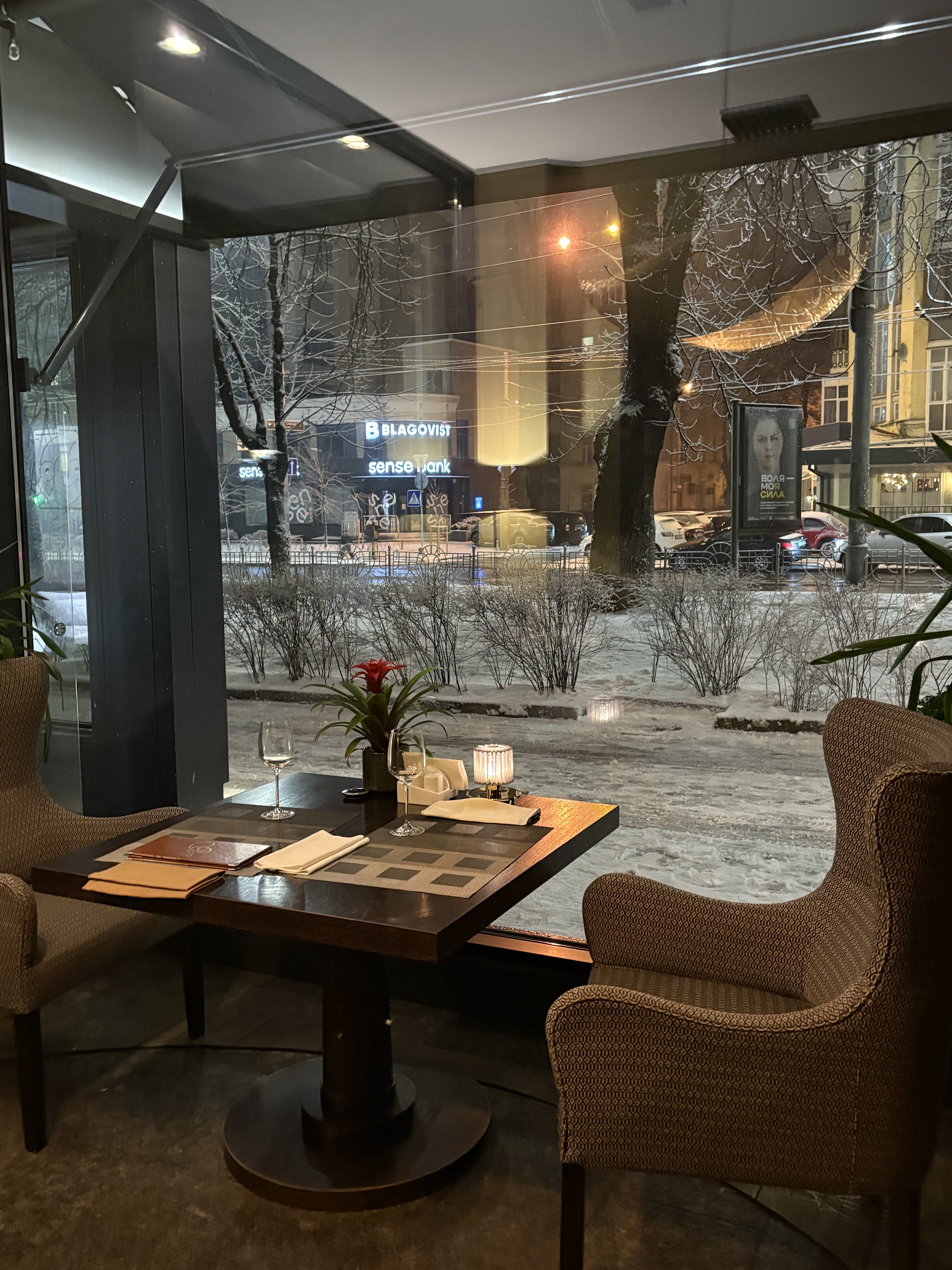 Graine de Moutarde image 8