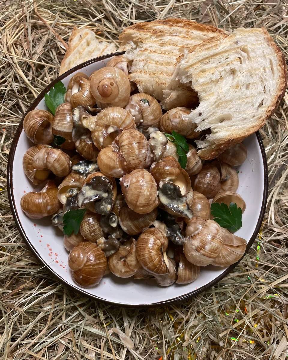 Чорноморка на Лаврській image 12