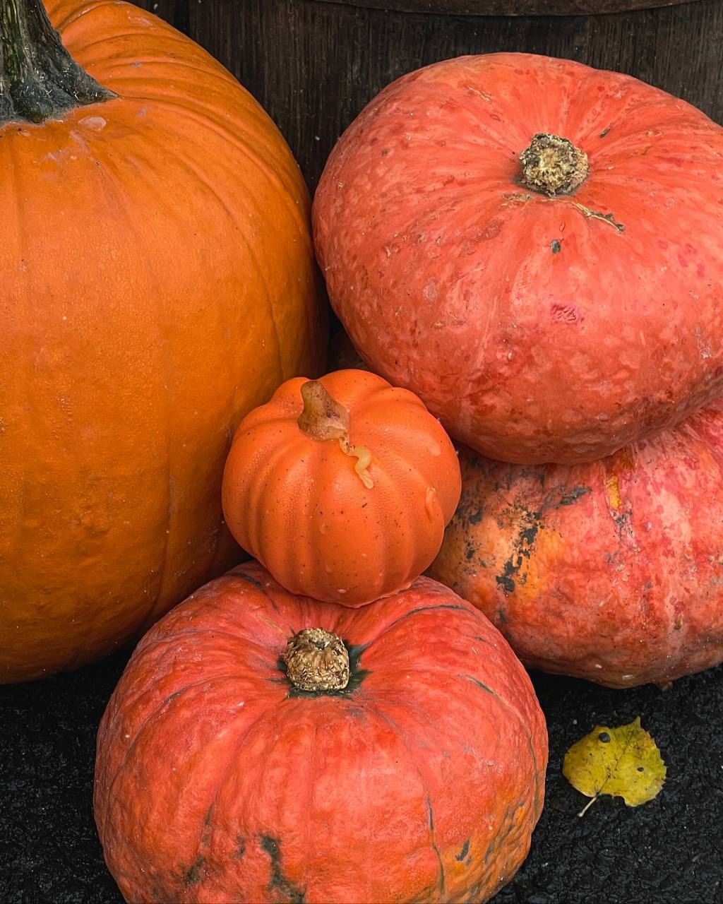 Honey. Cafe-confectionery image 13