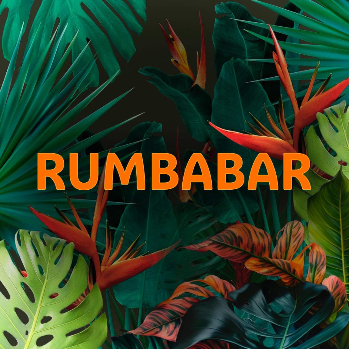 Rumbabar image 13