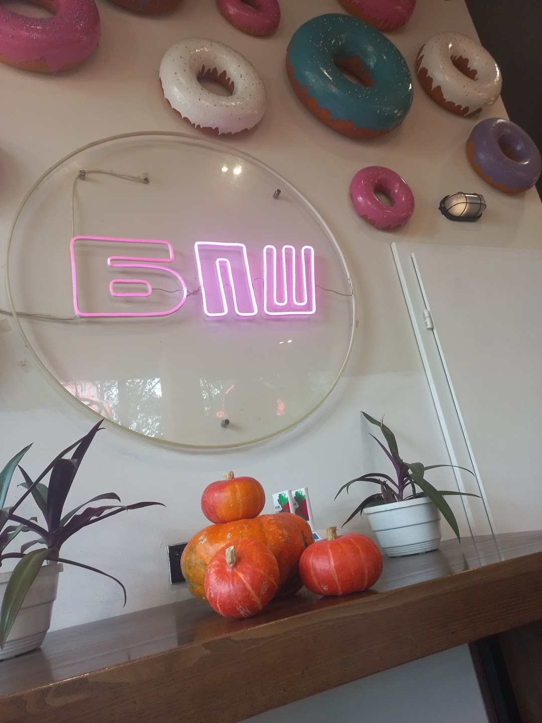 БПШ / BPSH image 17