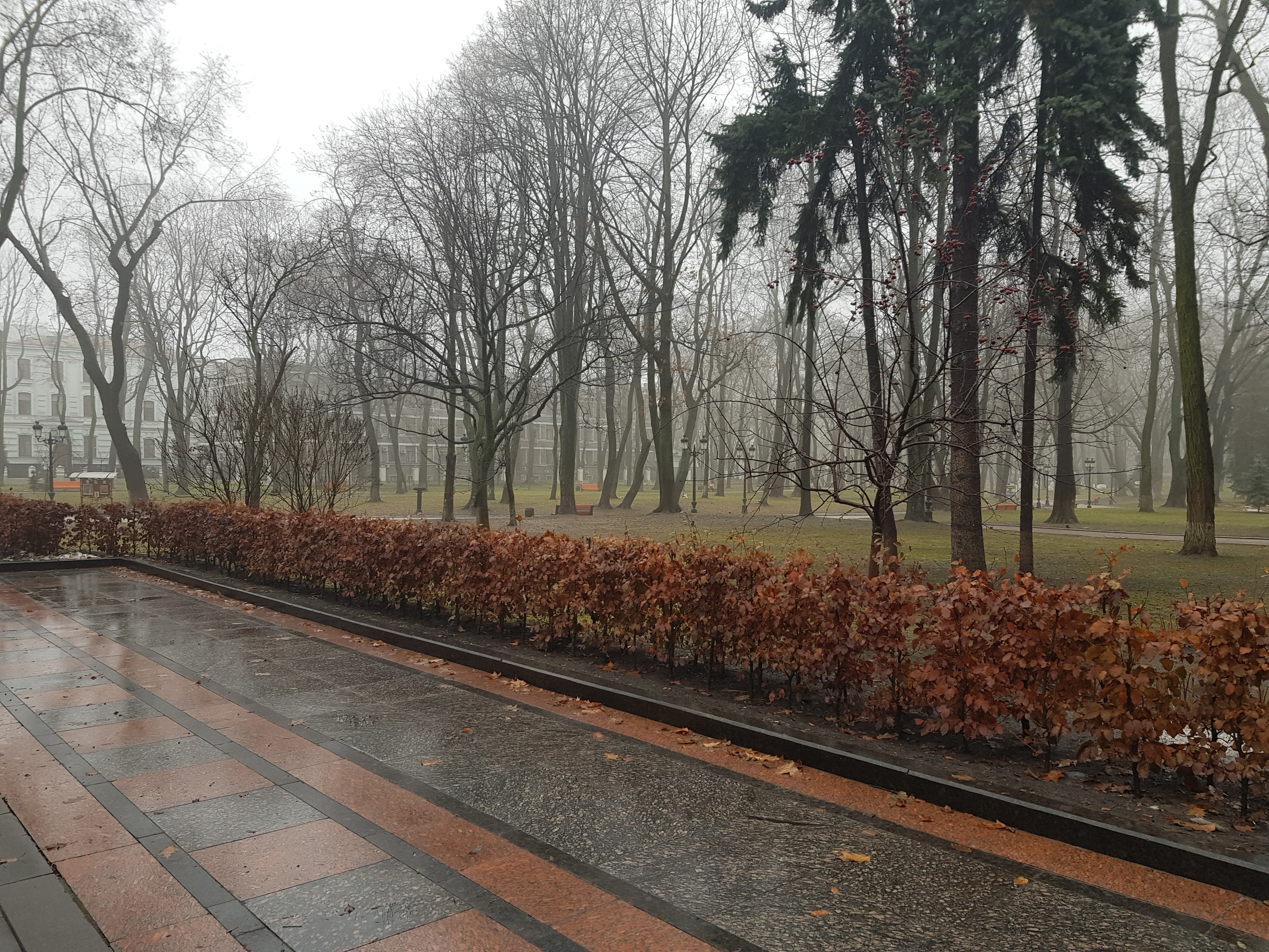 Mariinsky yard image 2