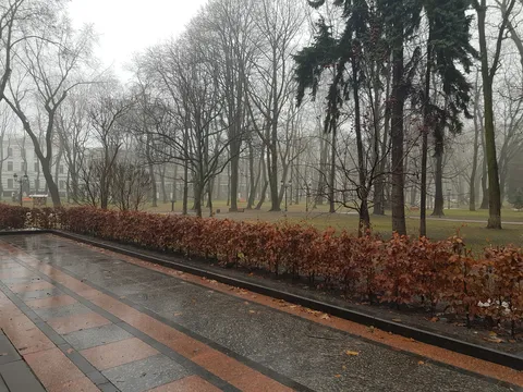 Mariinsky yard image 2