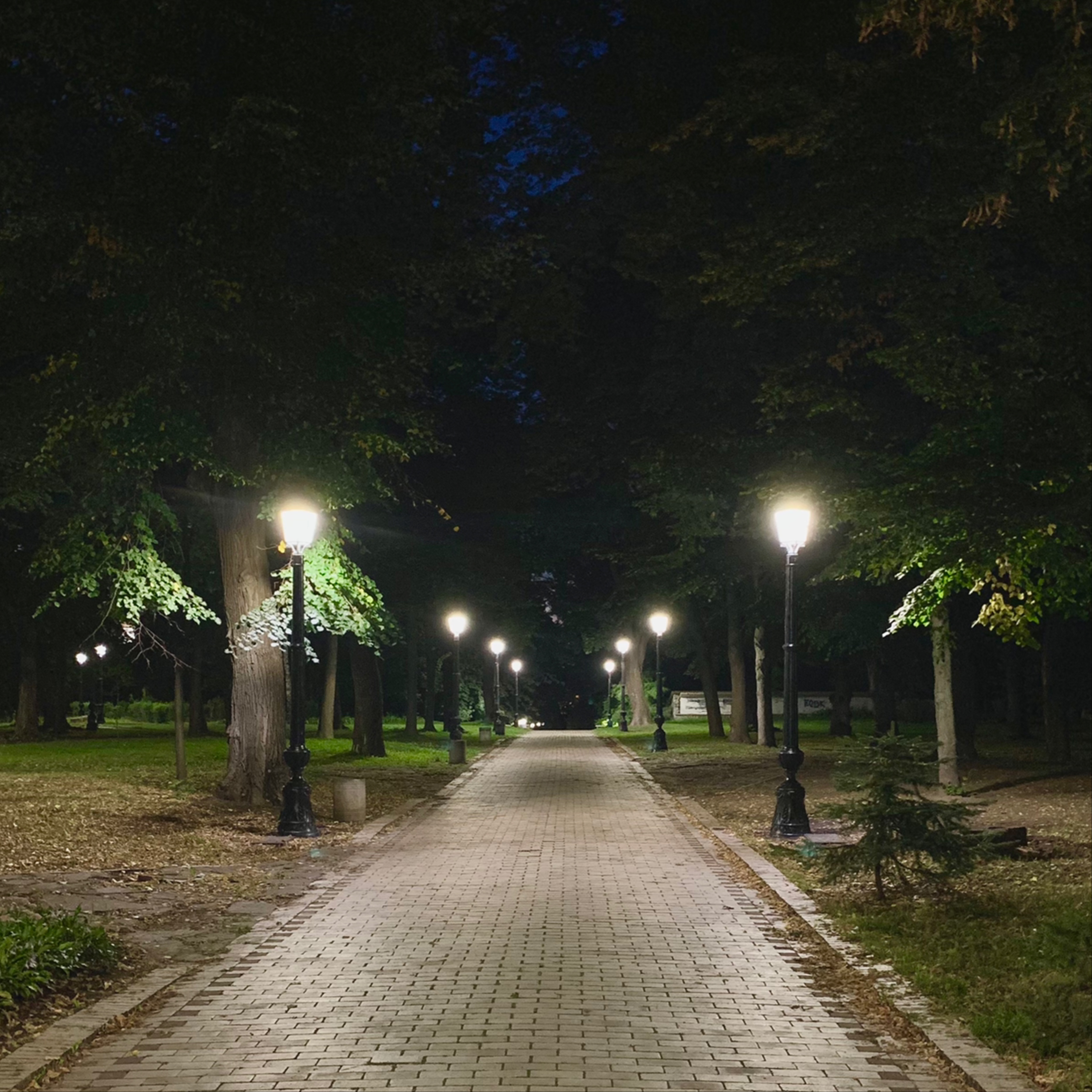 Mariinsky yard image 6