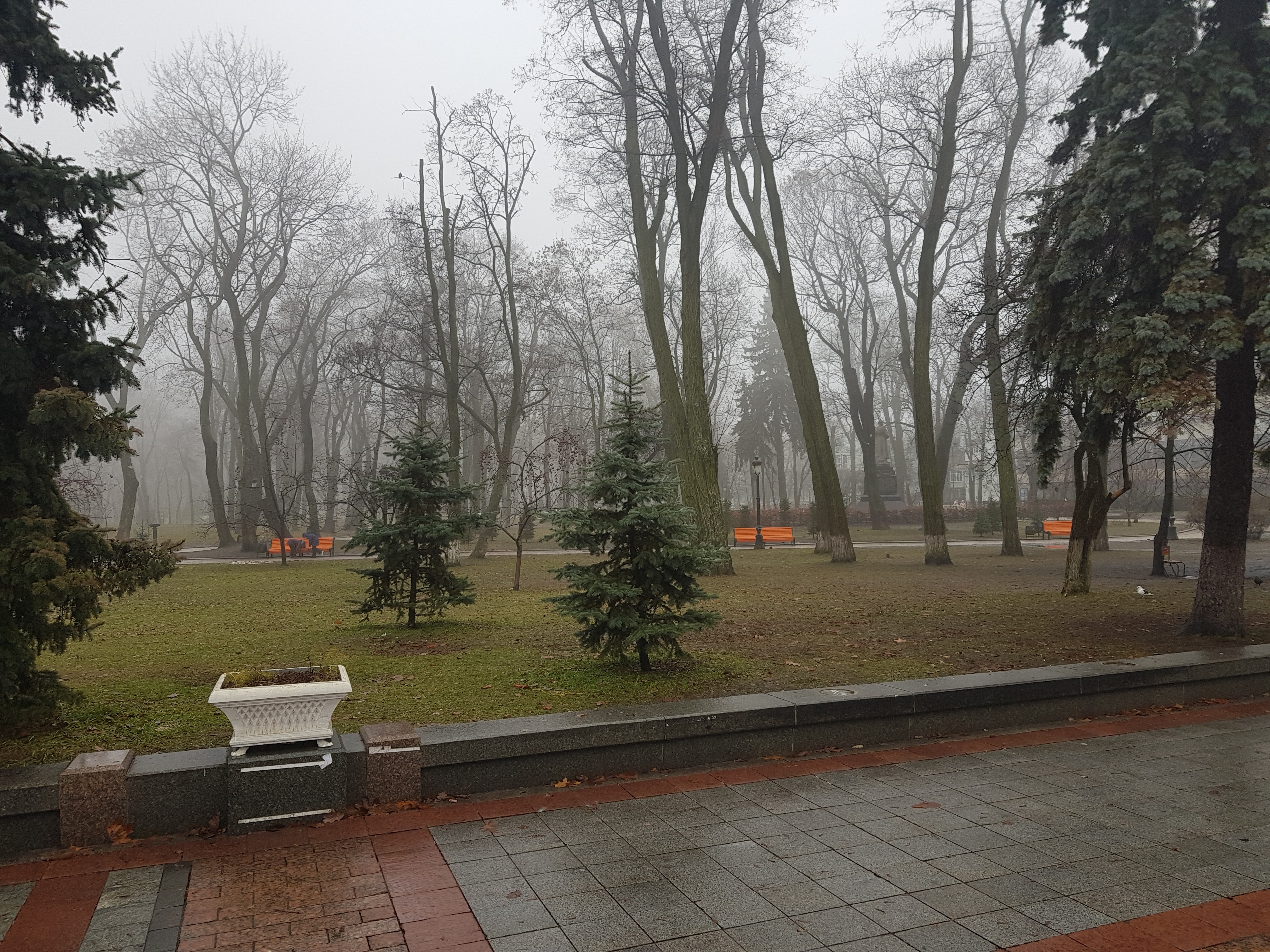 Mariinsky yard image 8