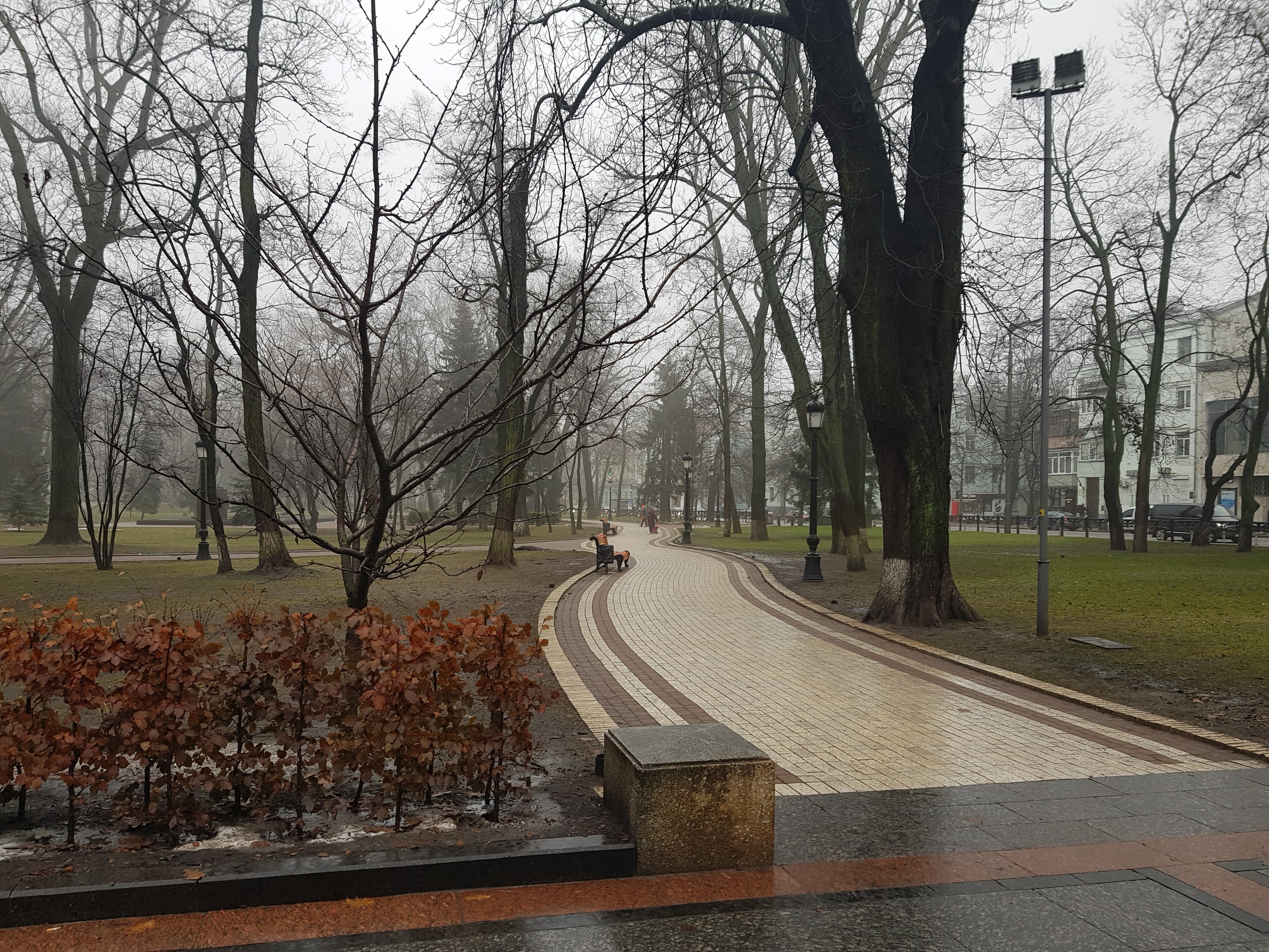 Mariinsky yard image 9