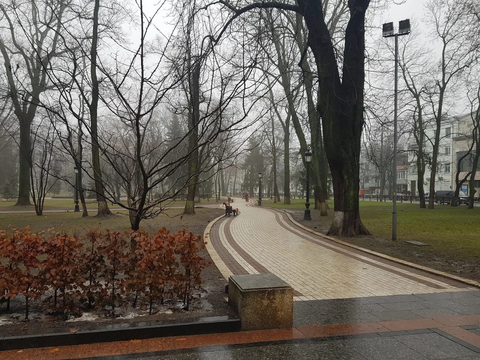 Mariinsky yard image 9