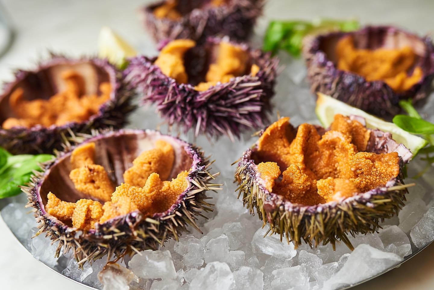 Catch Seafood Restaurant image 20