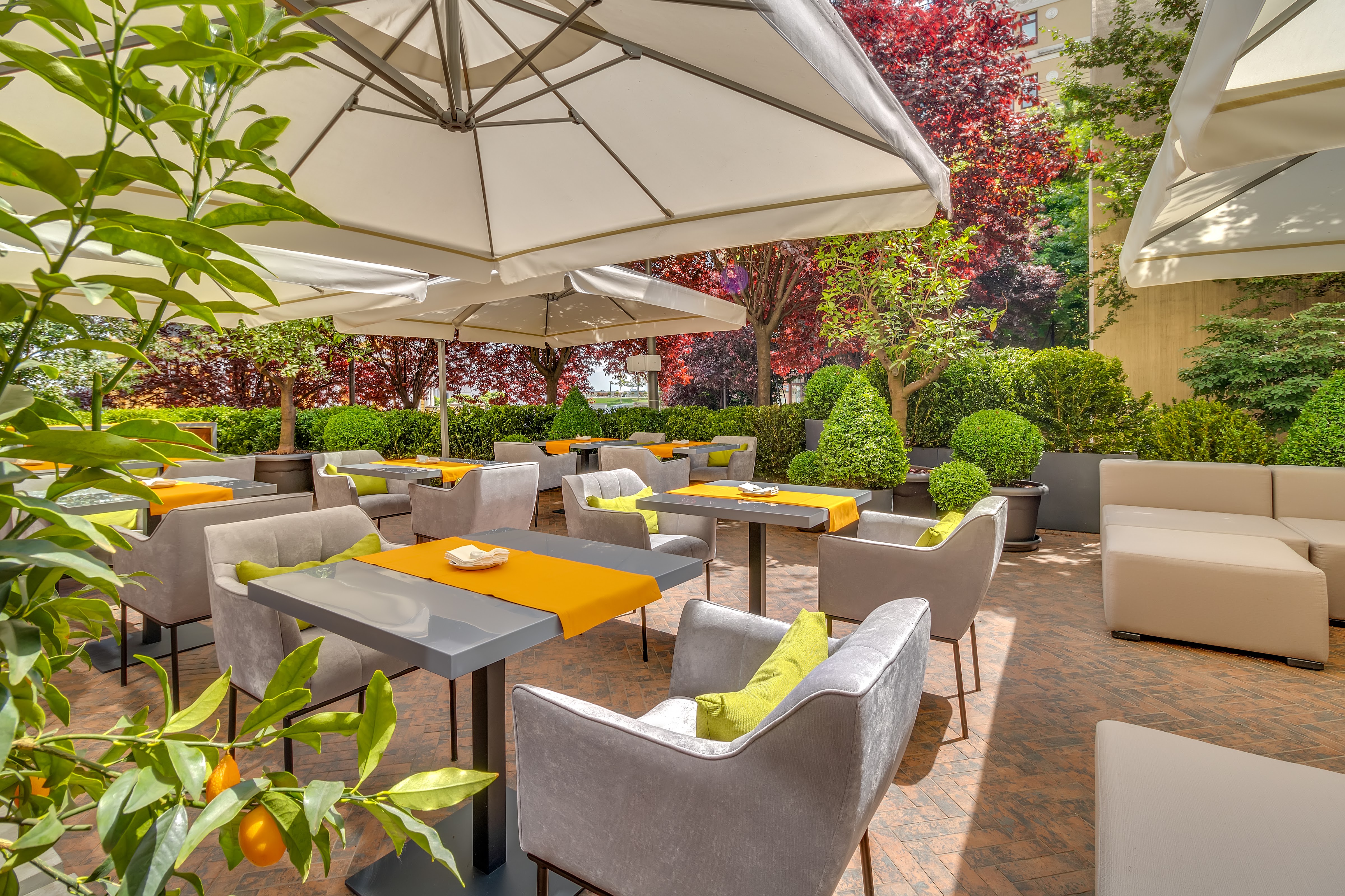 Secret Garden by Sweet Book image 3