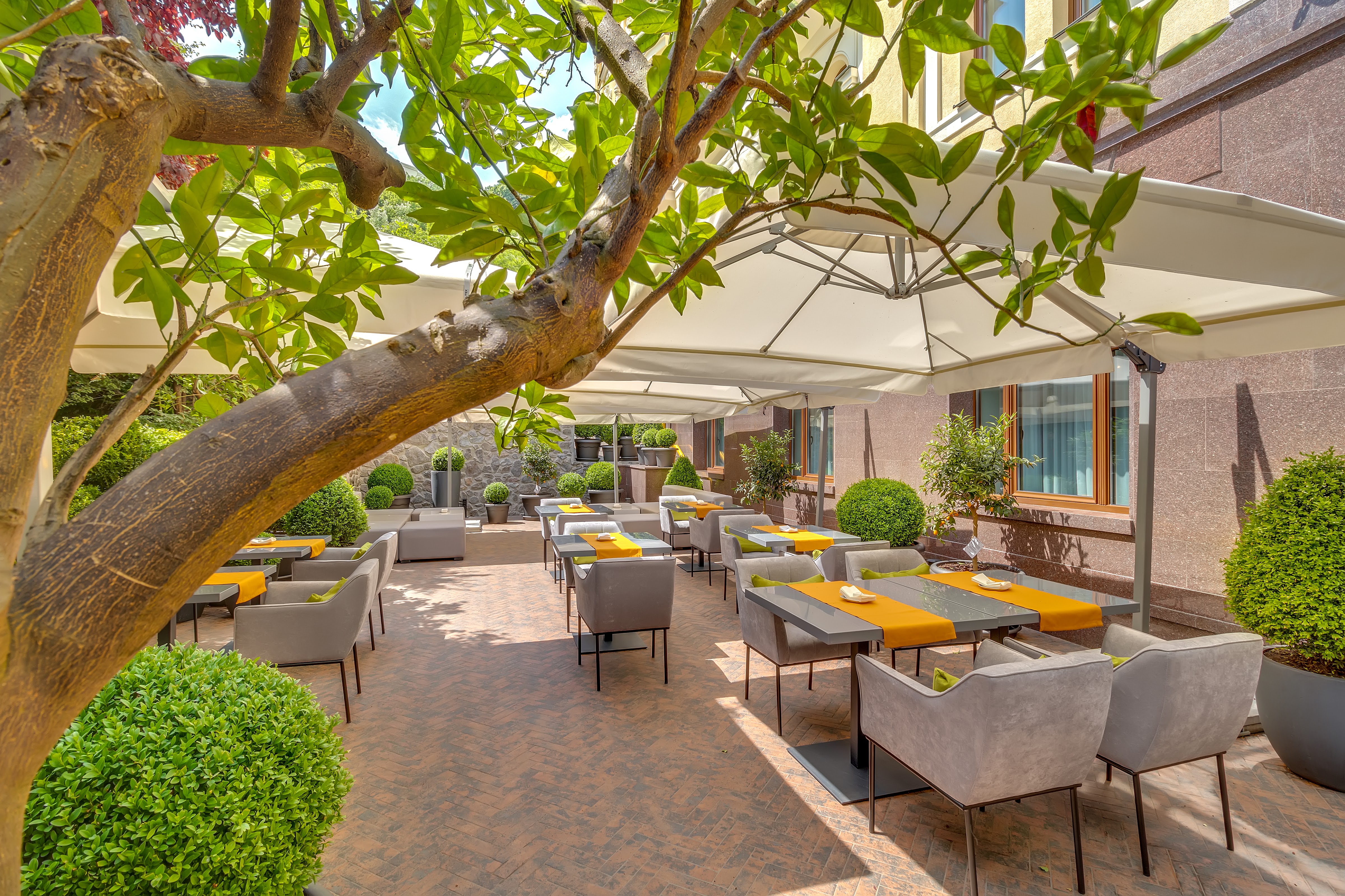 Secret Garden by Sweet Book image 8