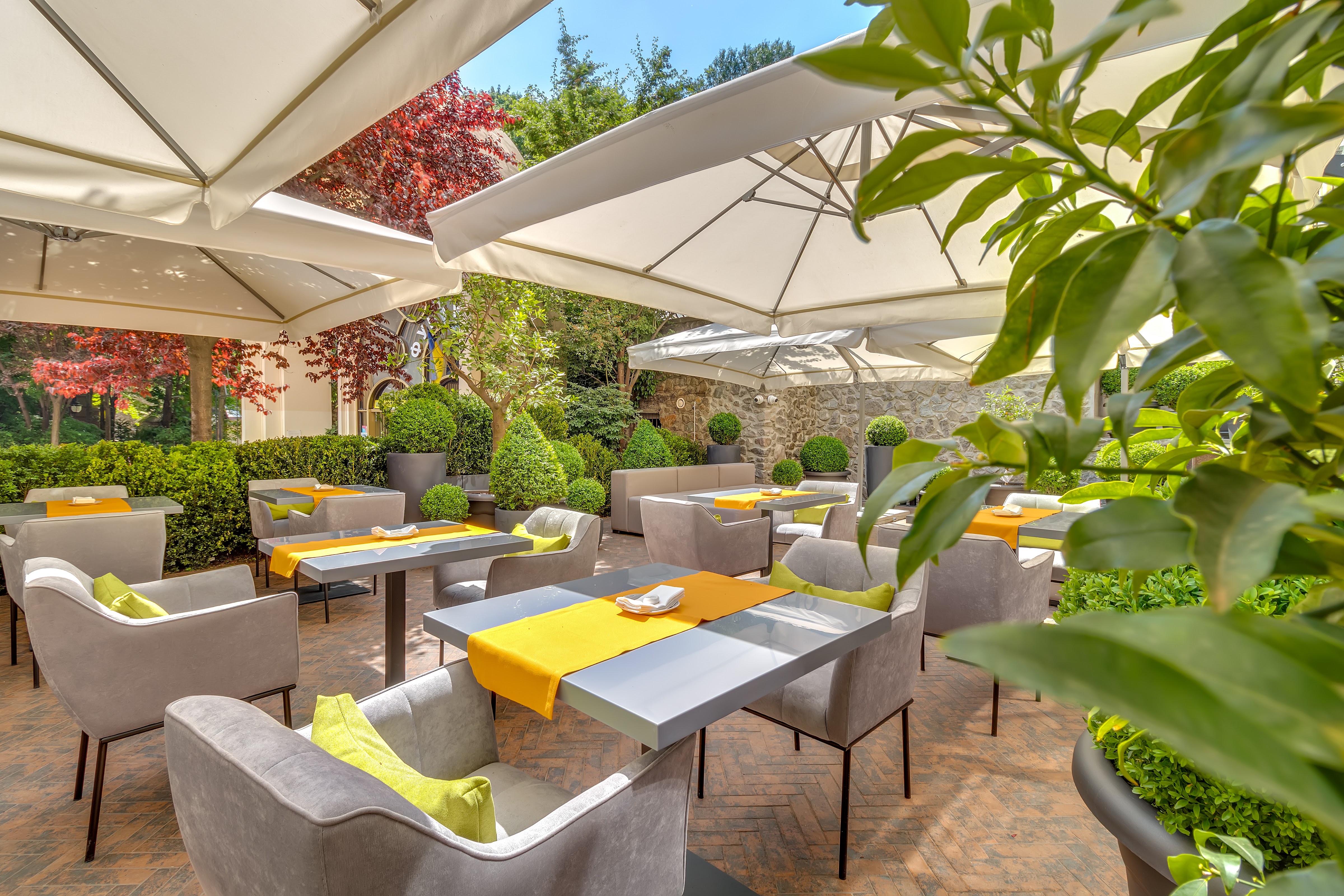 Secret Garden by Sweet Book image 9