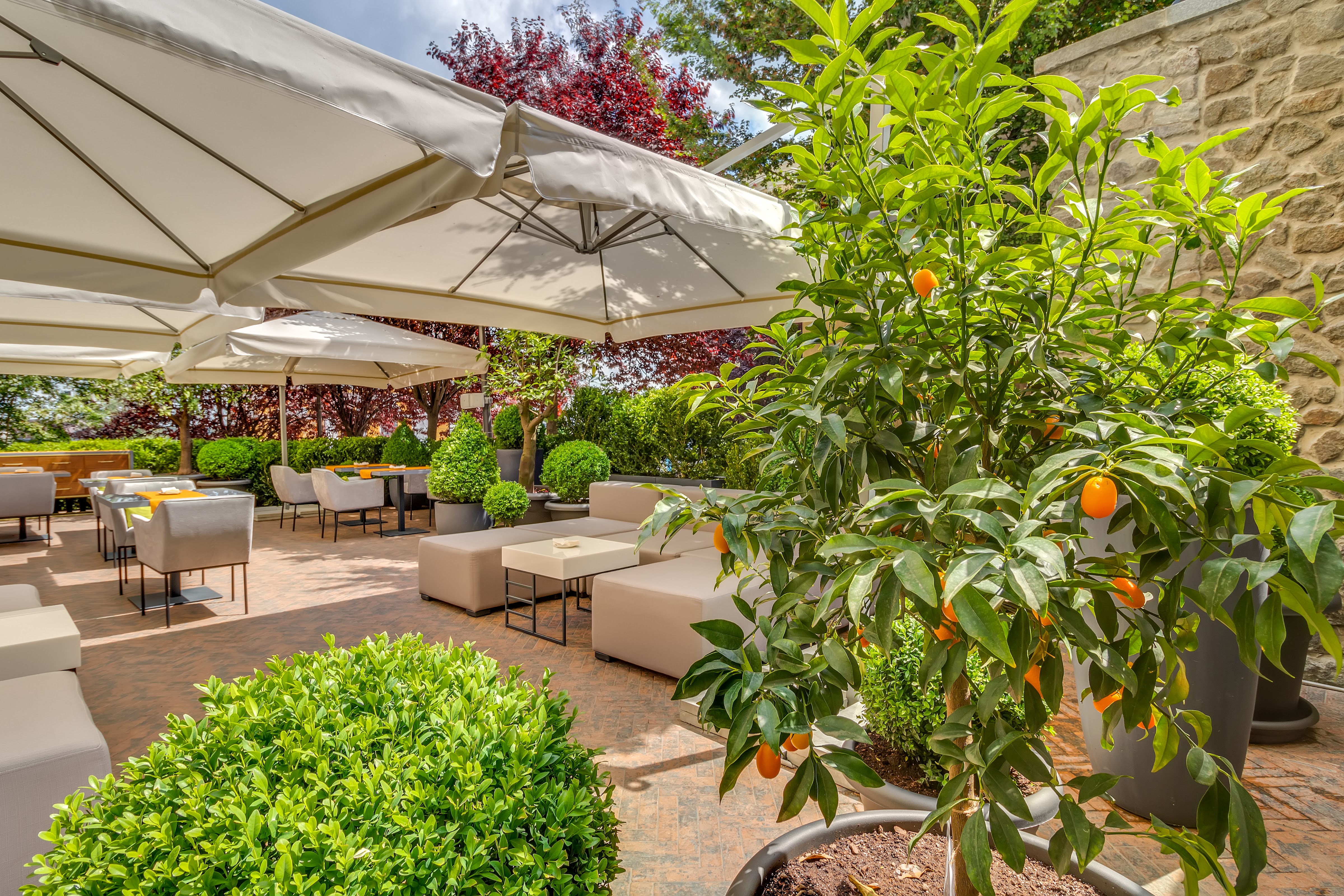 Secret Garden by Sweet Book image 10