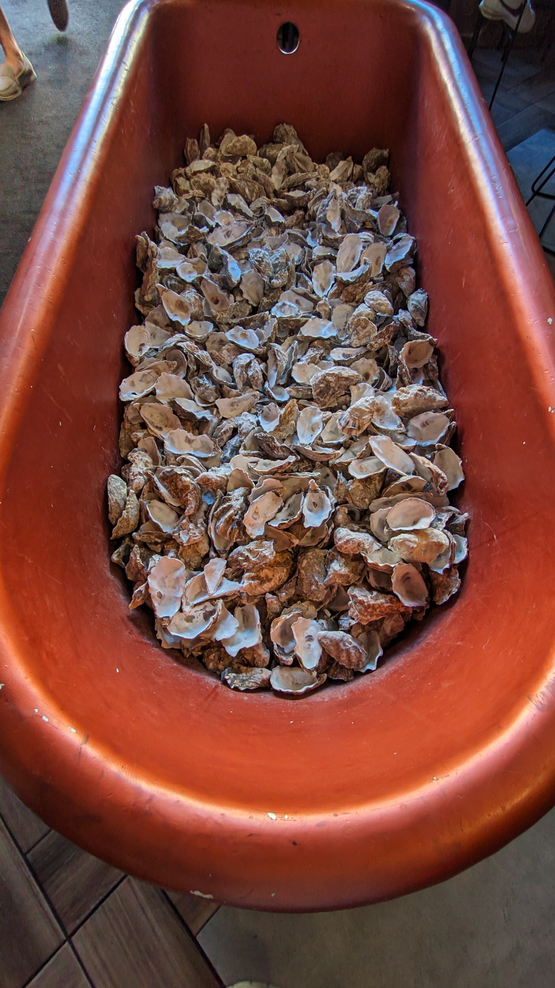 Naprosecco Oyster & Co image 8