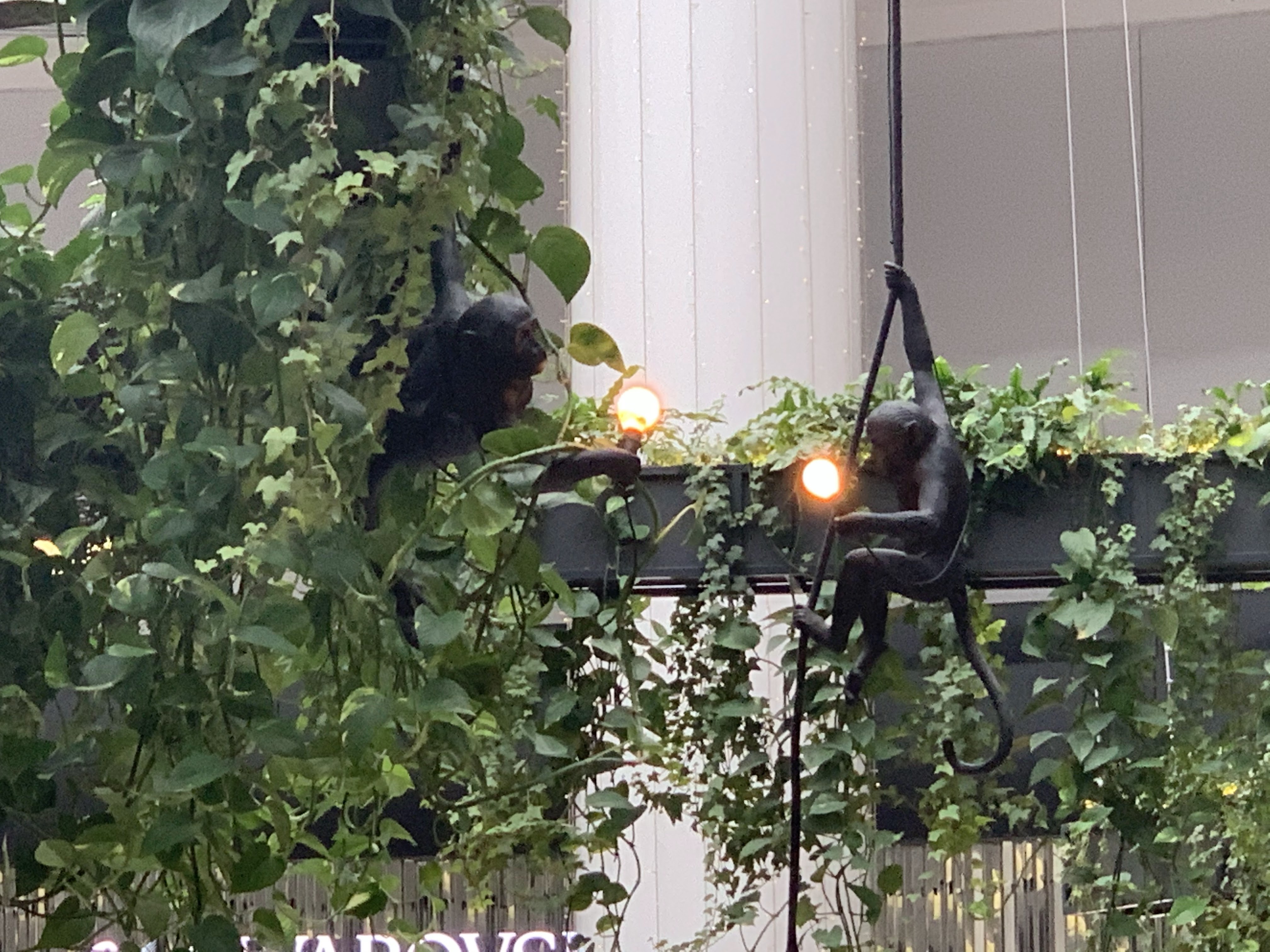 Nikkо - ресторан image 20