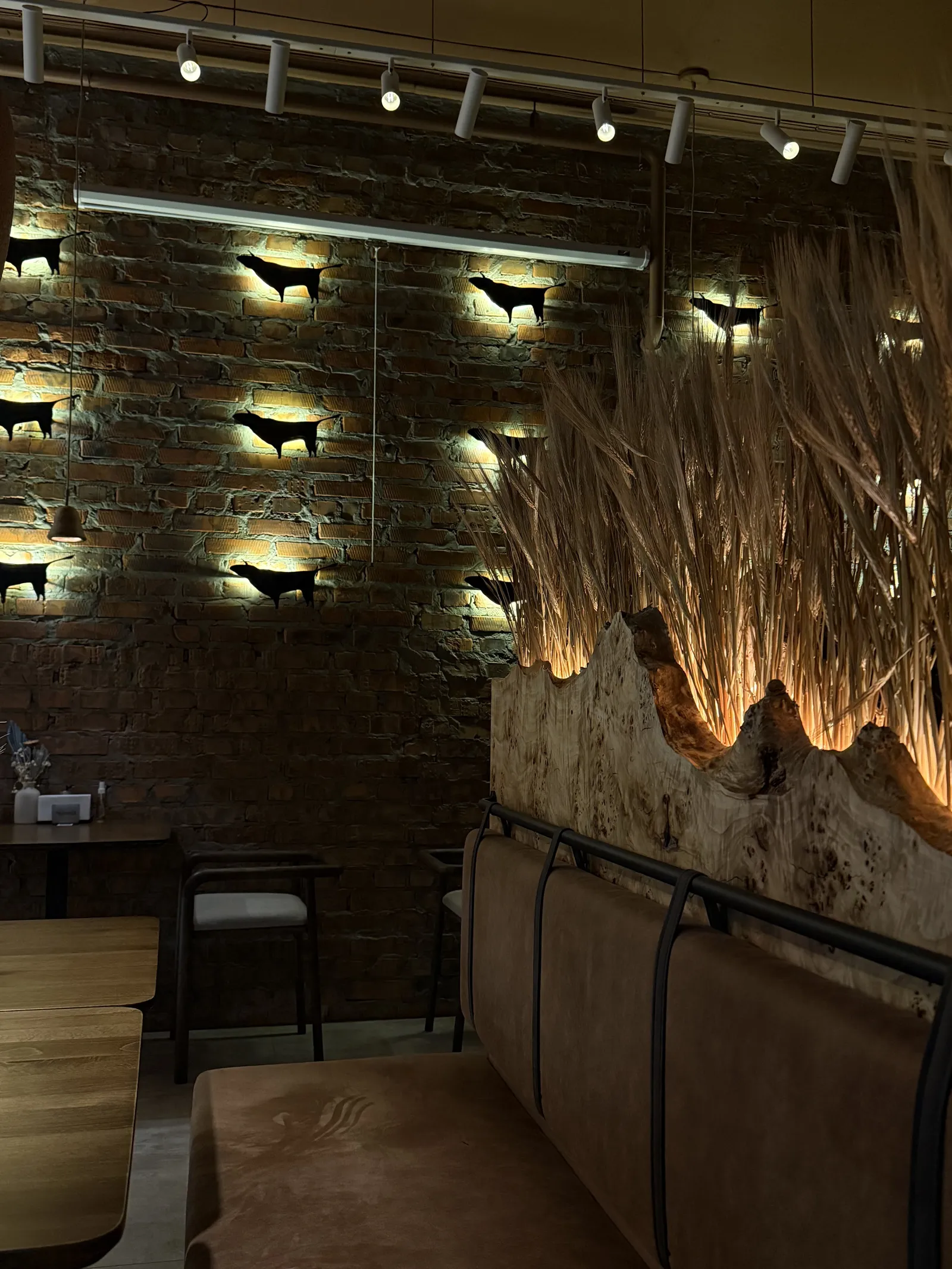 Му та Ципа Gastrobar image 20