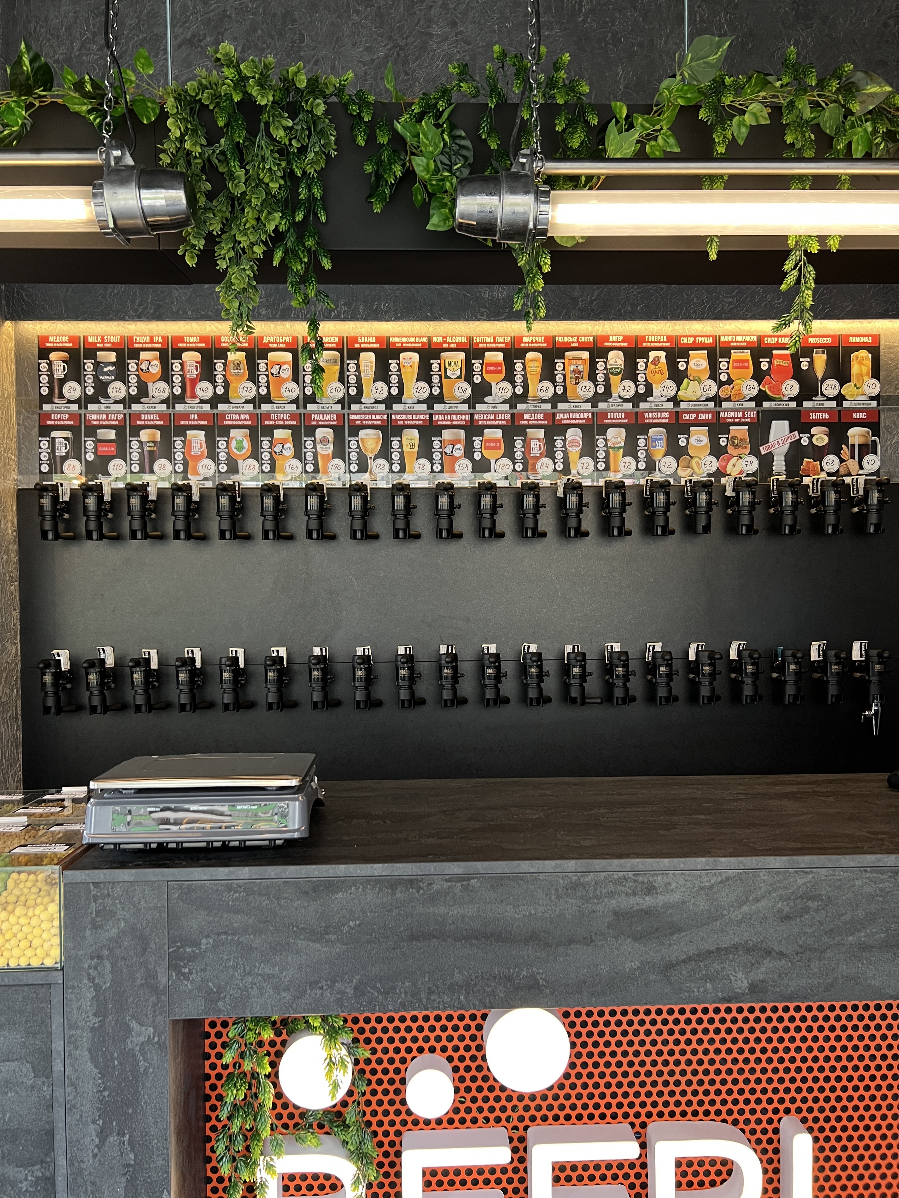 Beerland Паркове Місто image 10