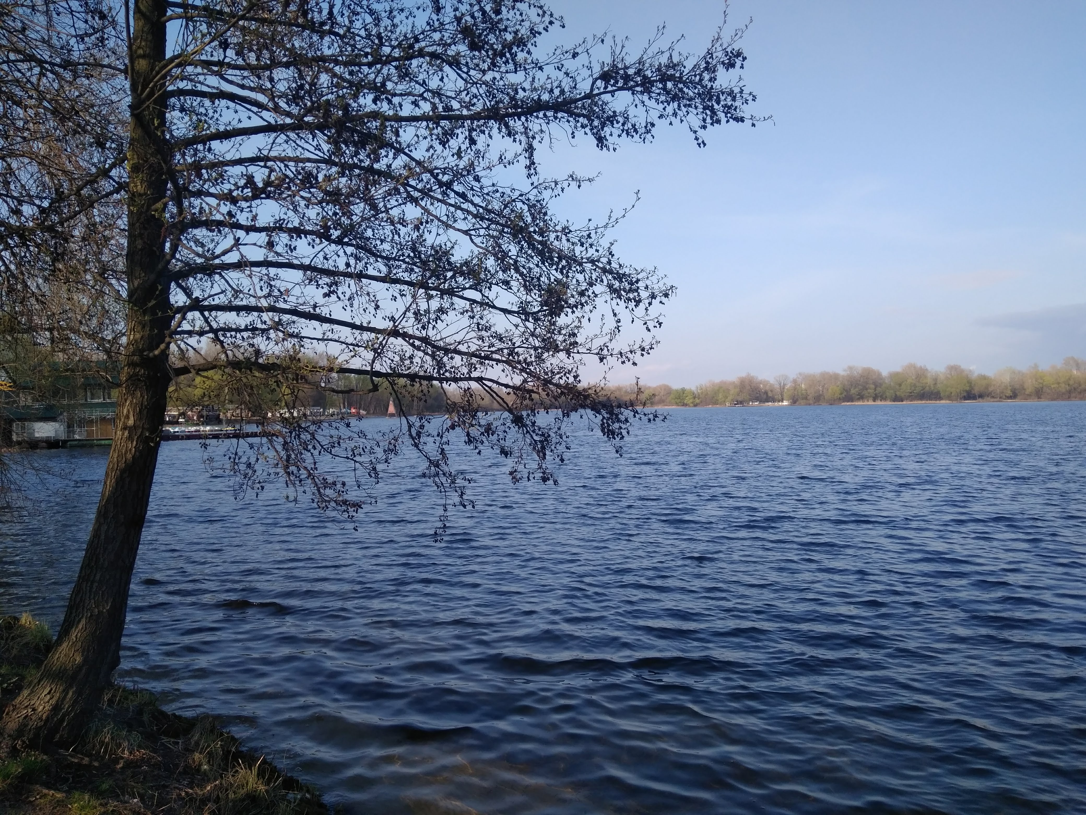 Baydyky Byty image 6