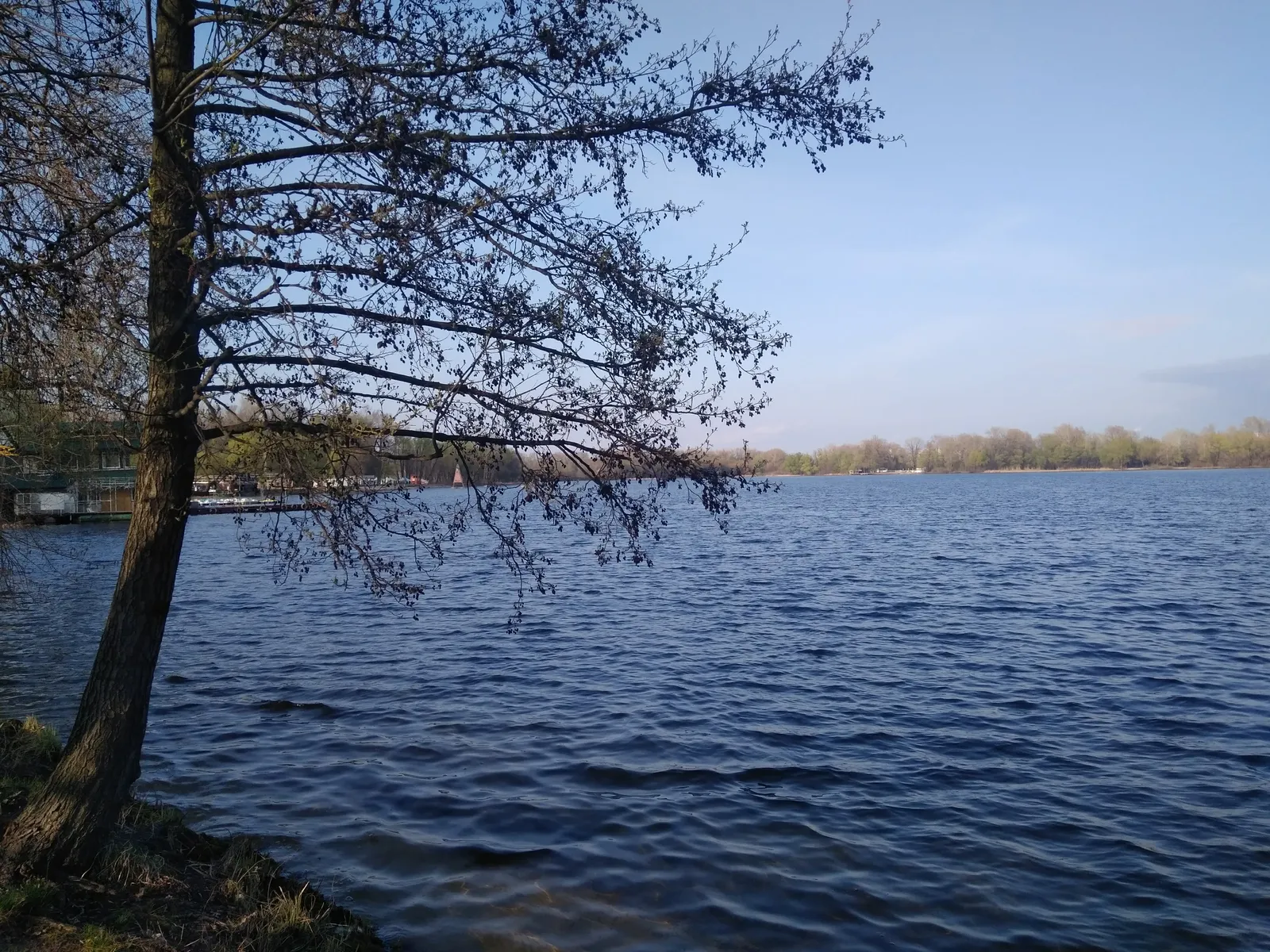 Baydyky Byty image 6