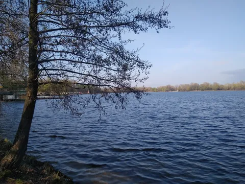 Baydyky Byty image 6
