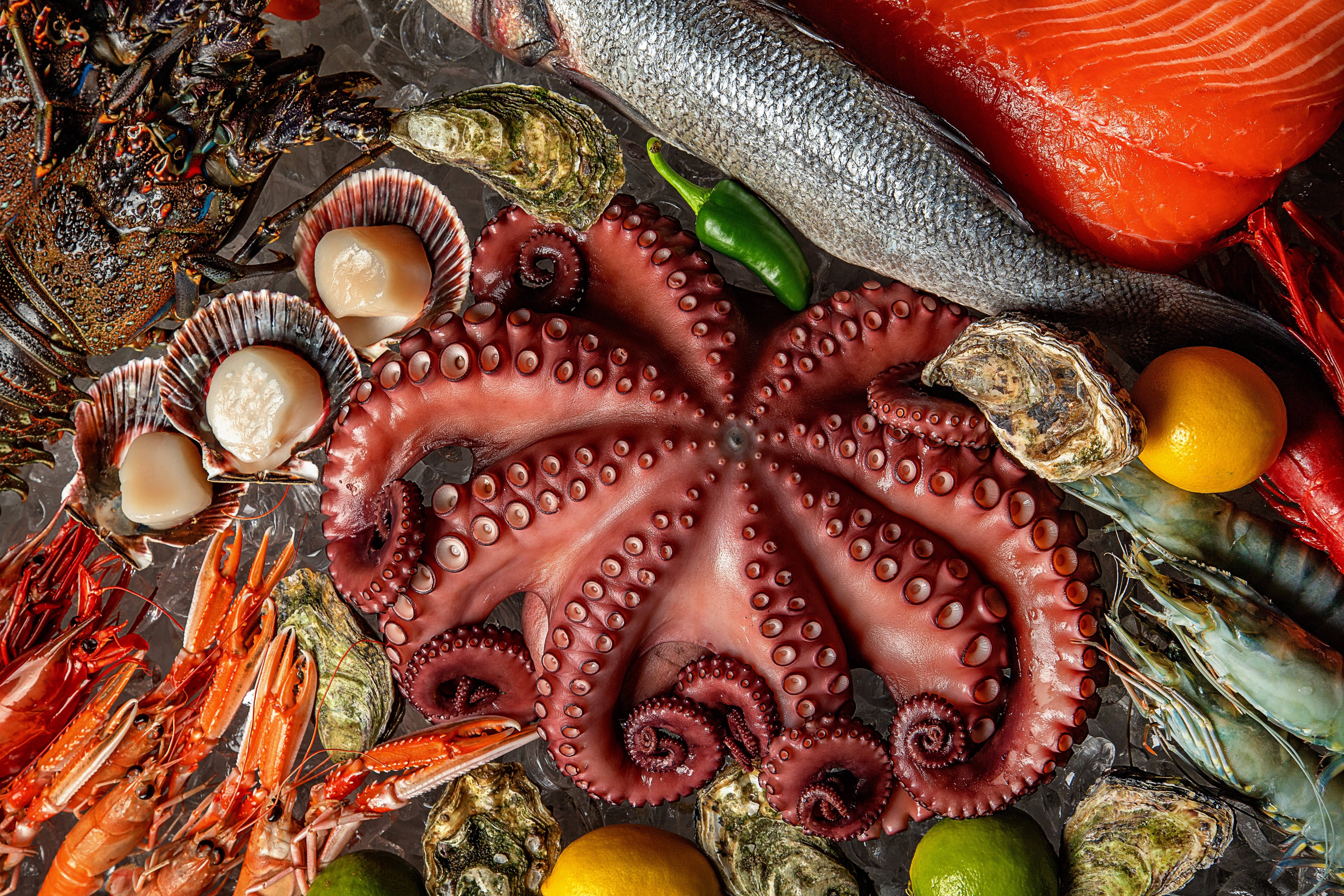 Forrest Club image 12