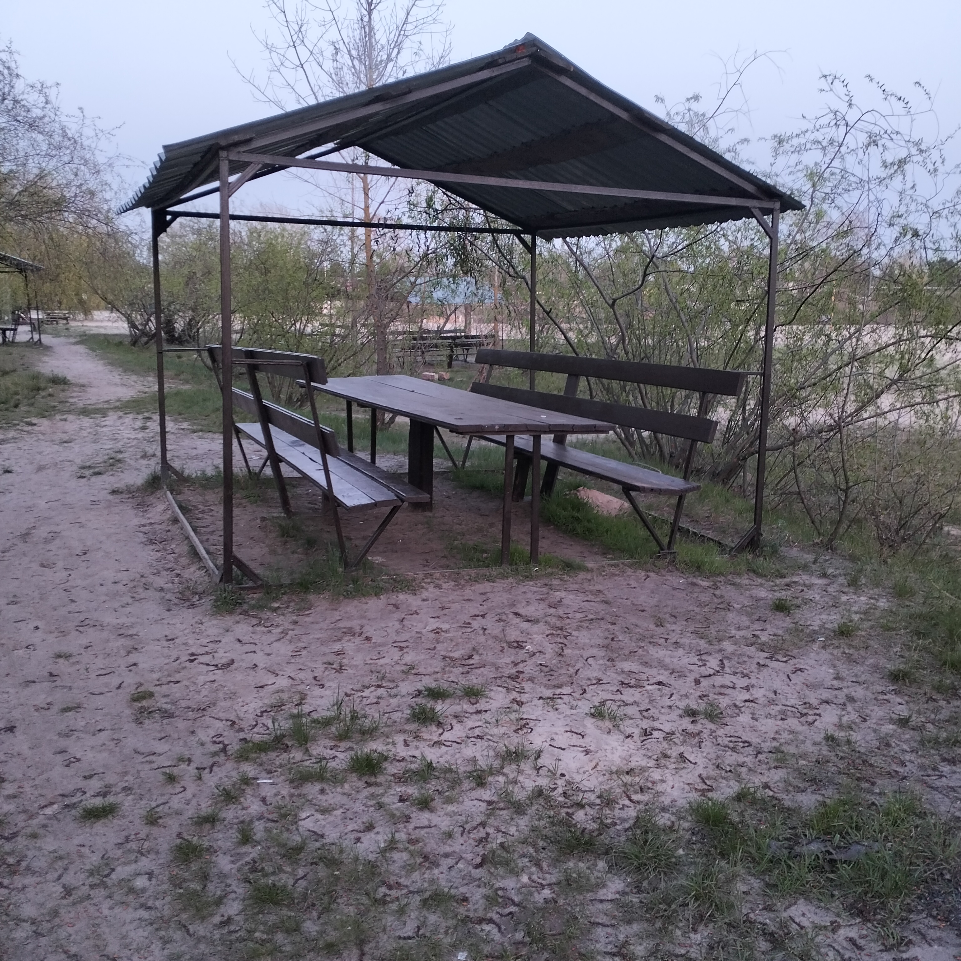 Африка image 13