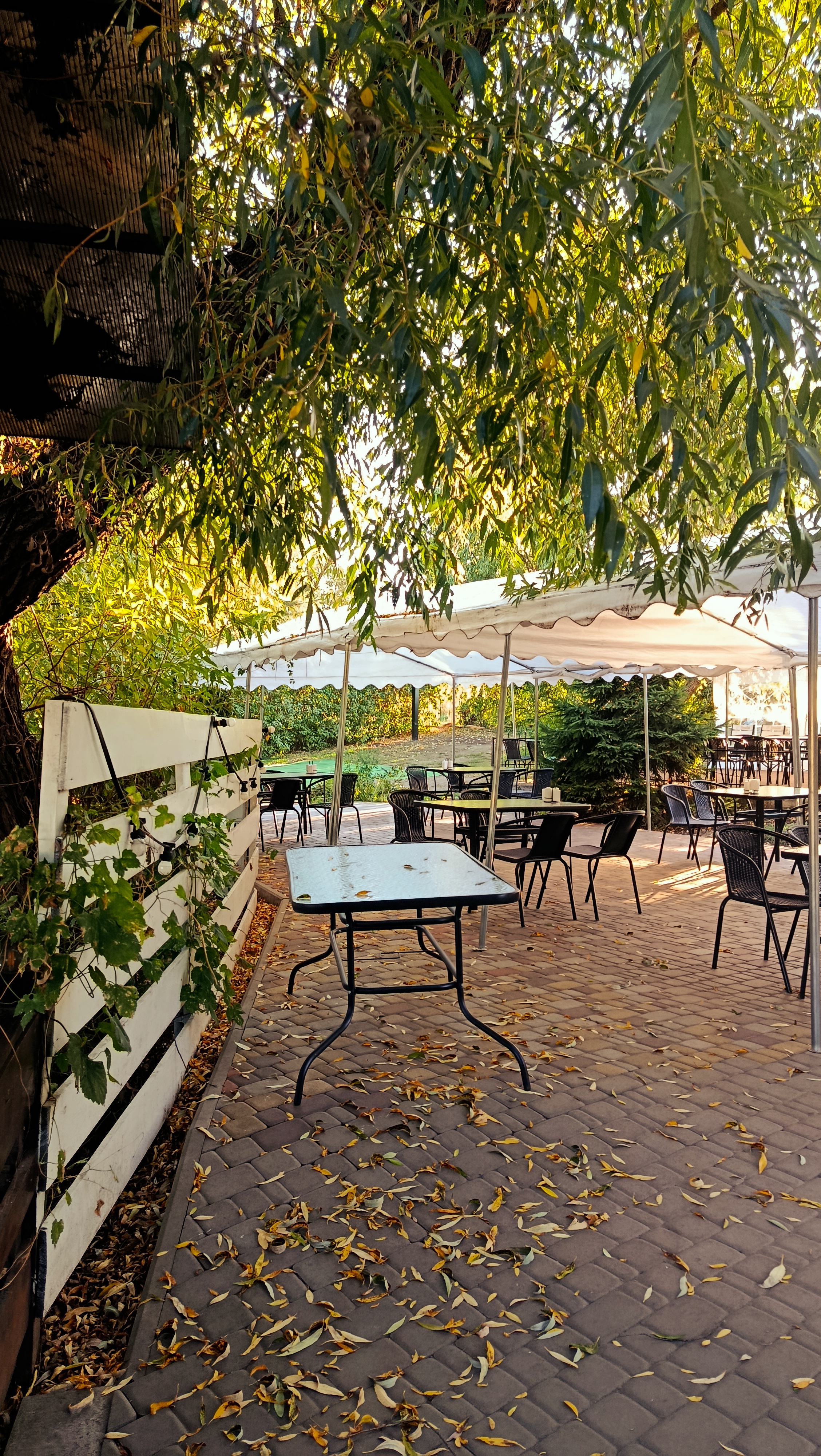 Nevahomistʹ image 19