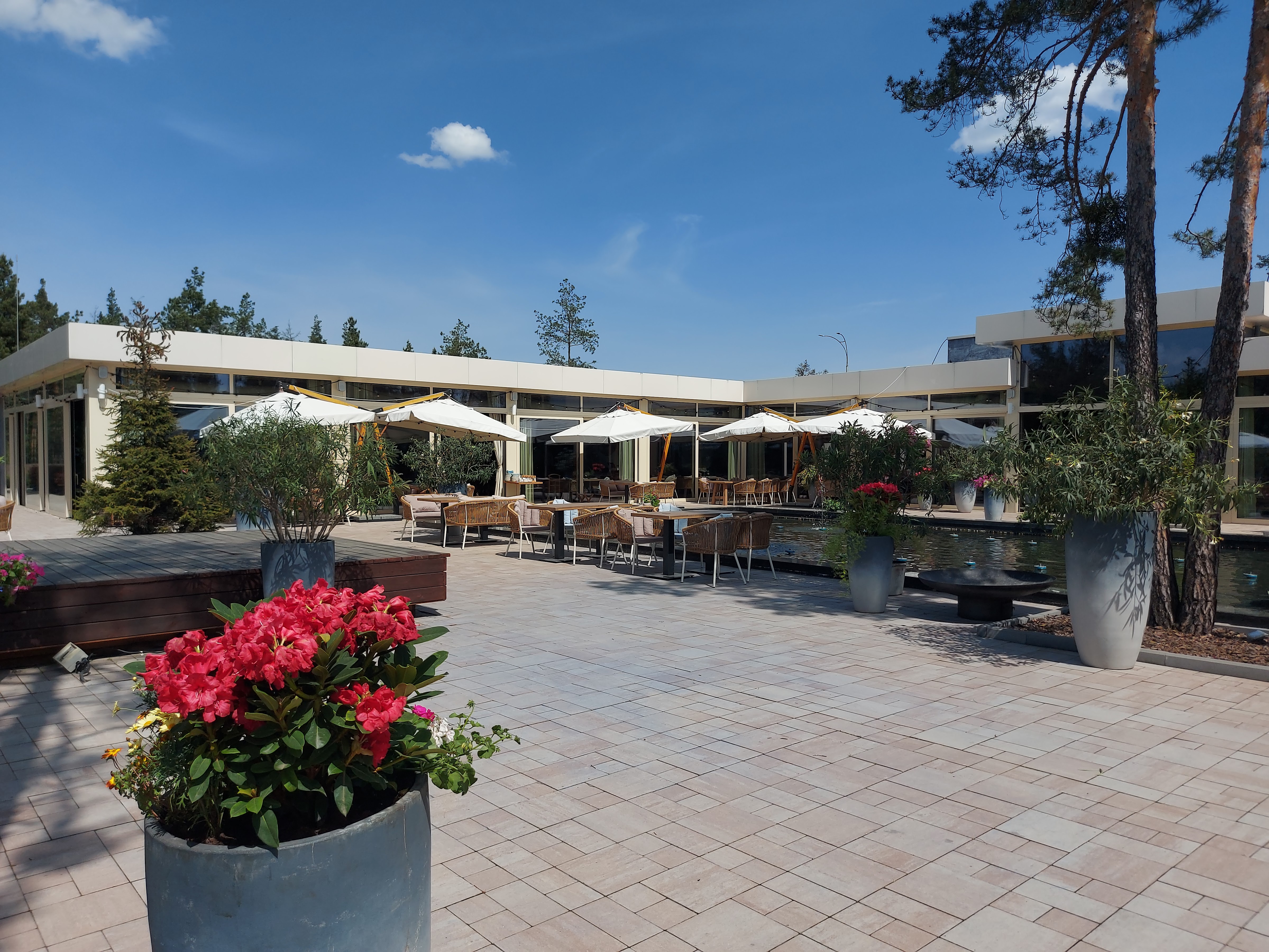 Harvest restaurant image 14